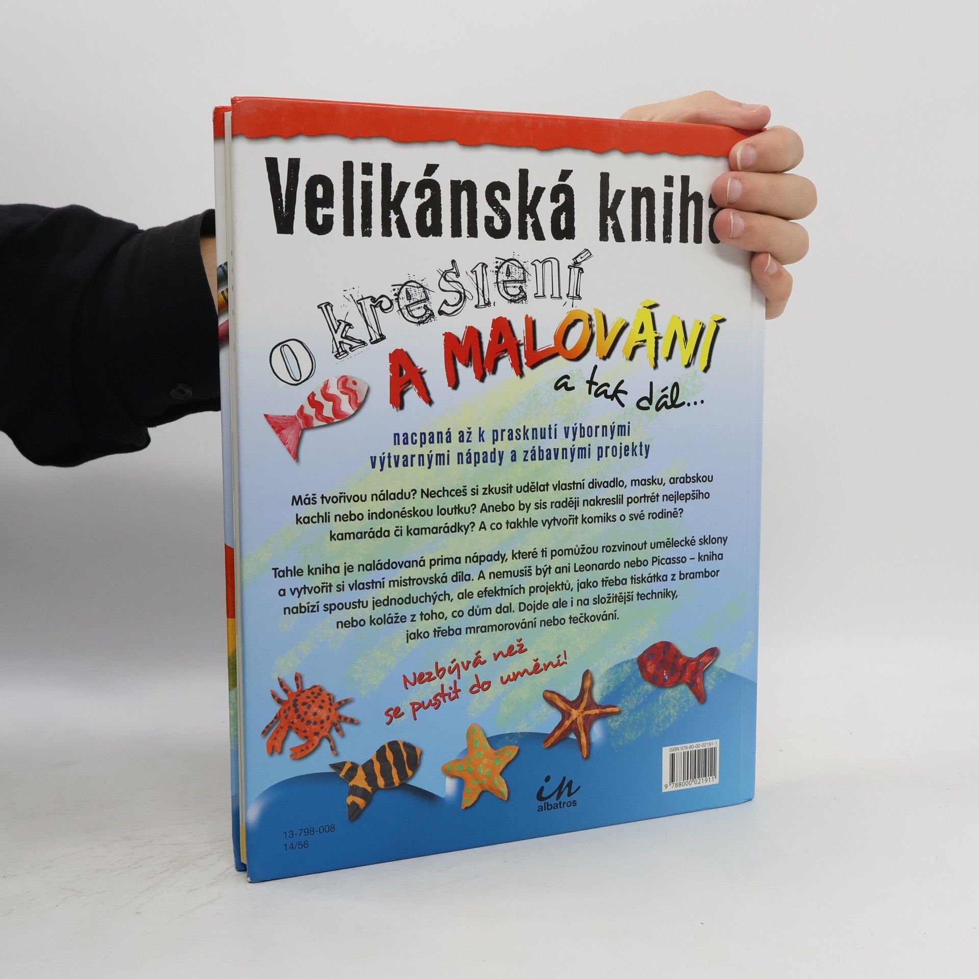 Sue Nicholson Velikánská kniha o kreslení a malování a tak dál--