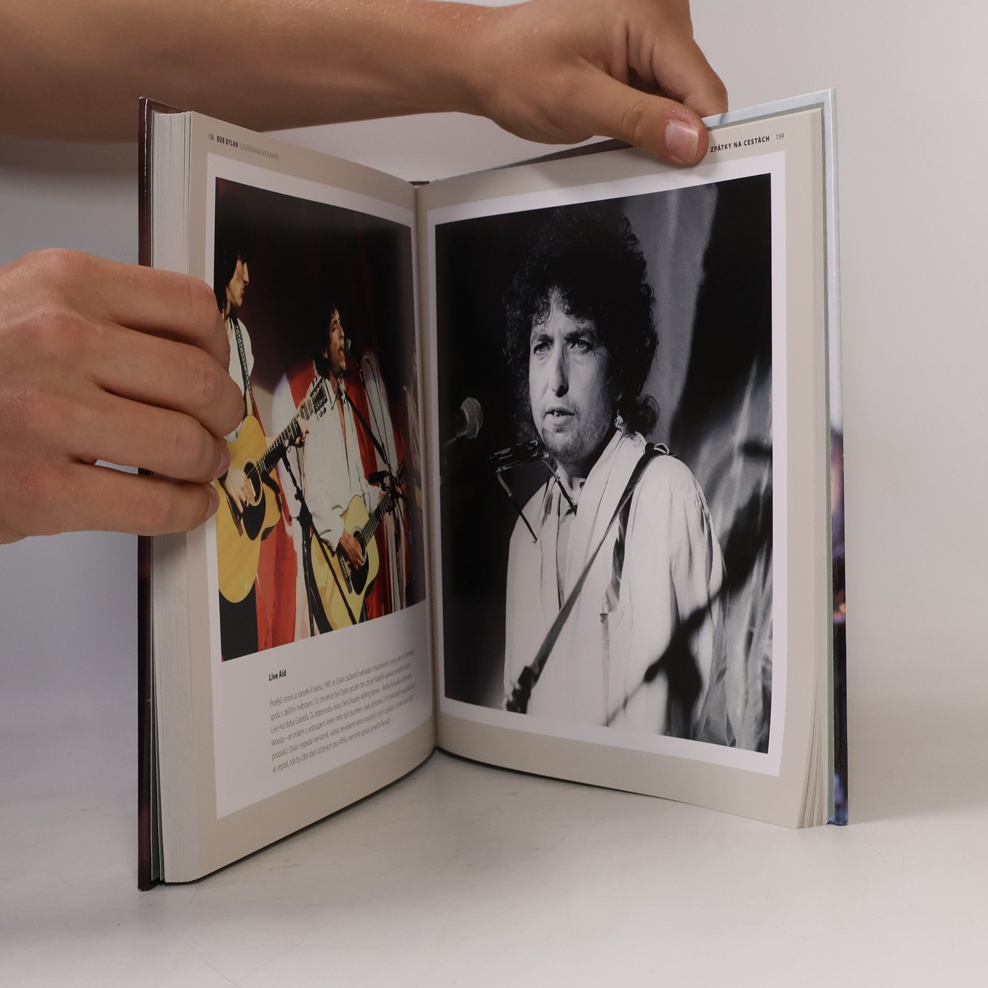 Chris Rushby Bob Dylan : ilustrovaná biografie