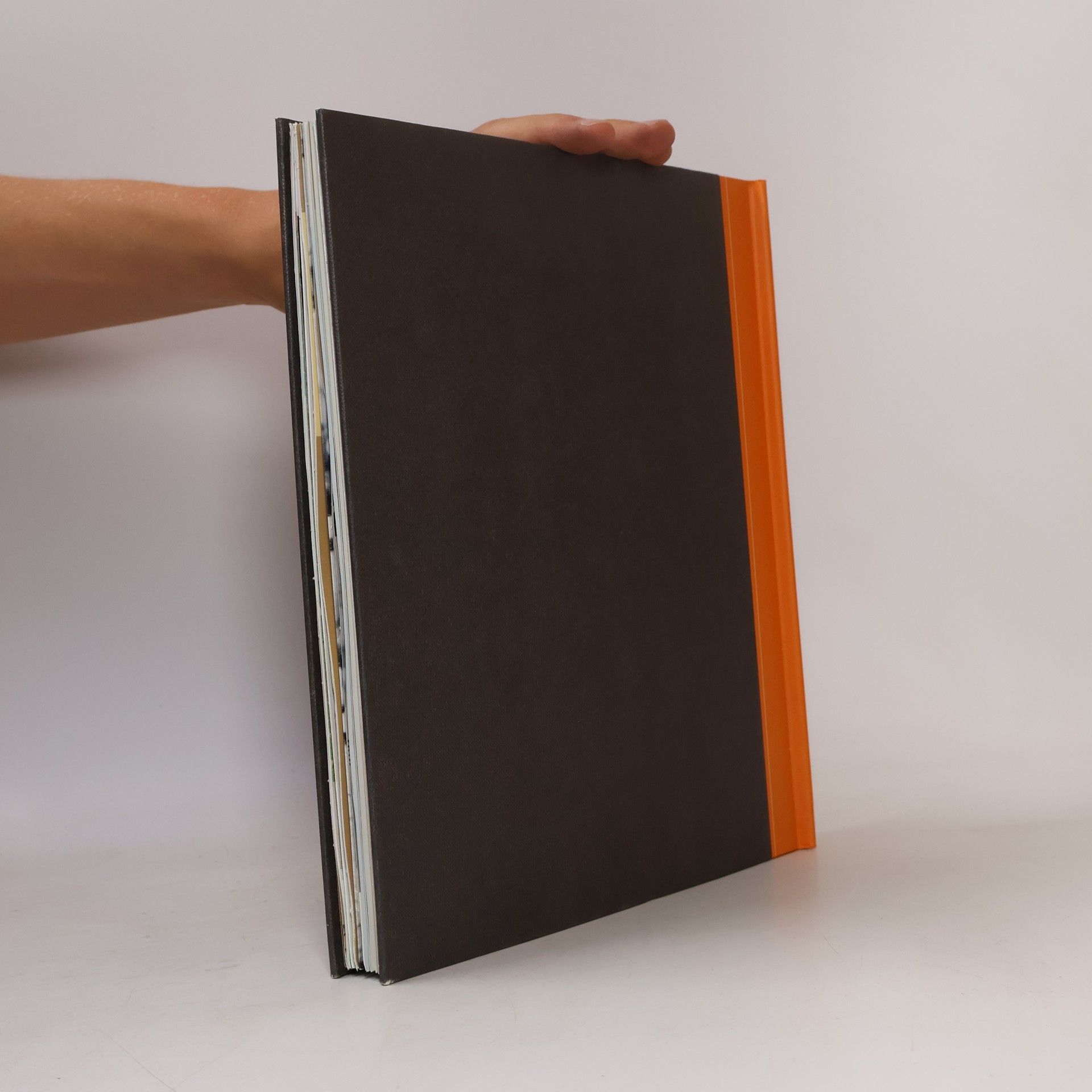 Bob Dylan The Bob Dylan Scrapbook