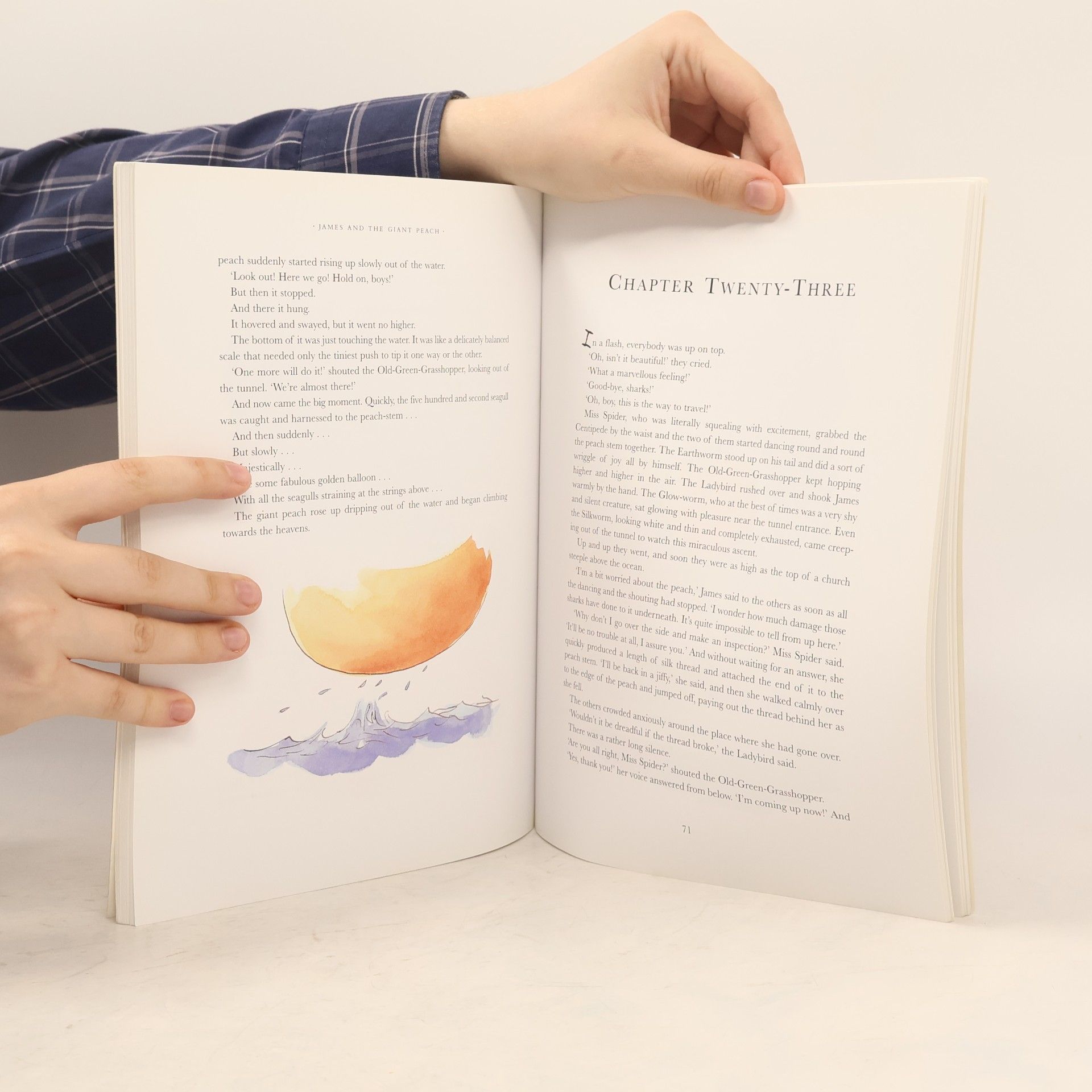 Roald Dahl James and the Giant Peach
