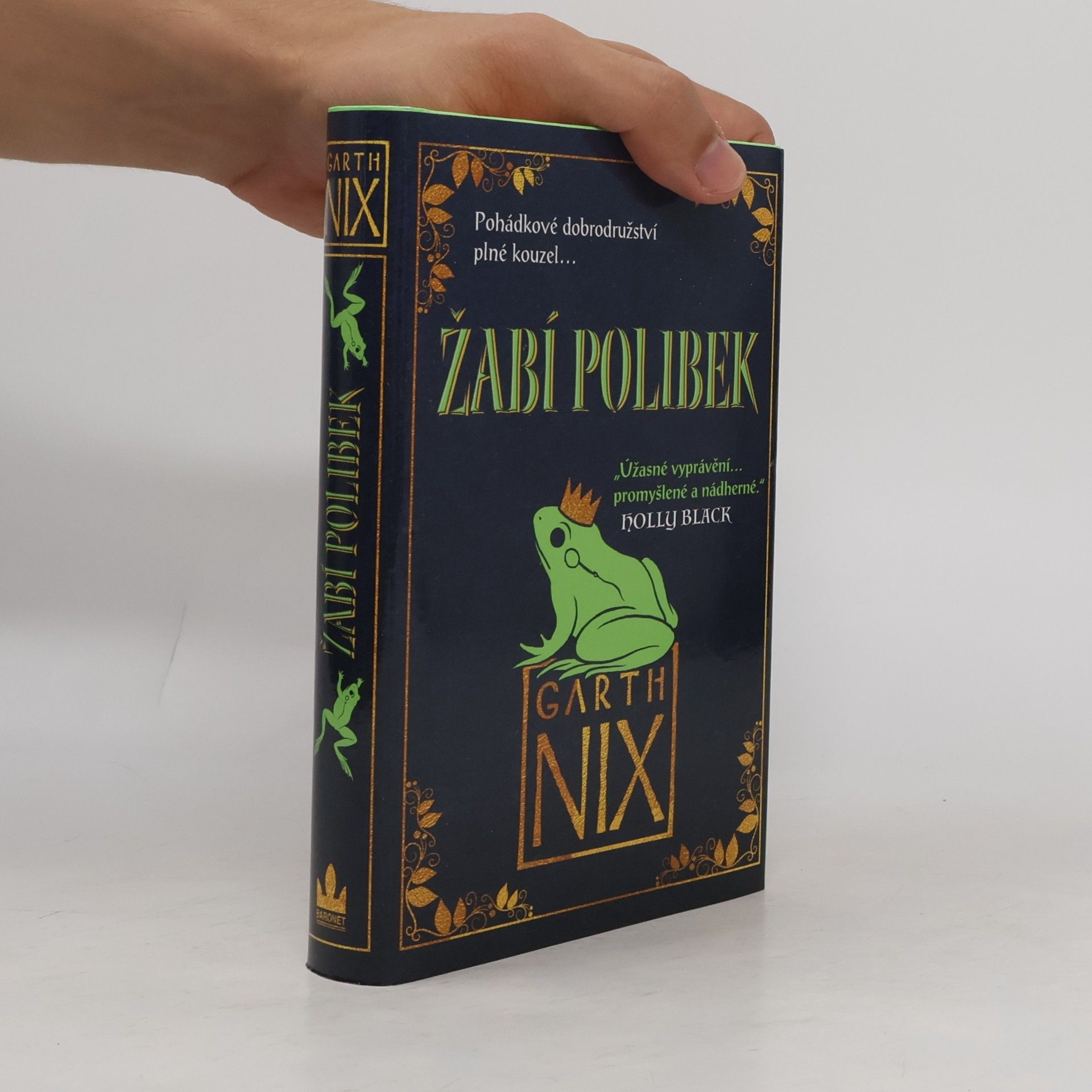 Garth Nix Žabí polibek