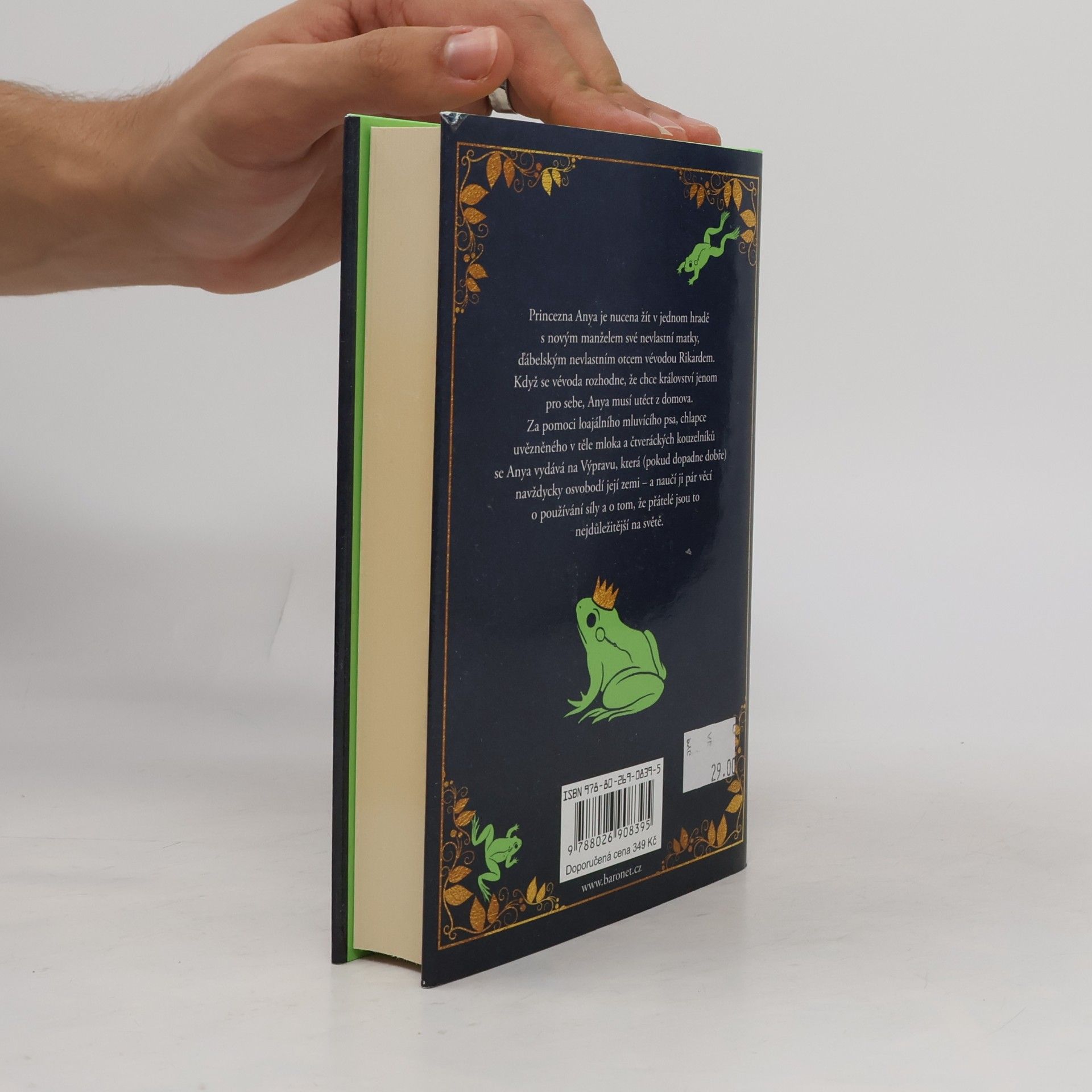 Garth Nix Žabí polibek