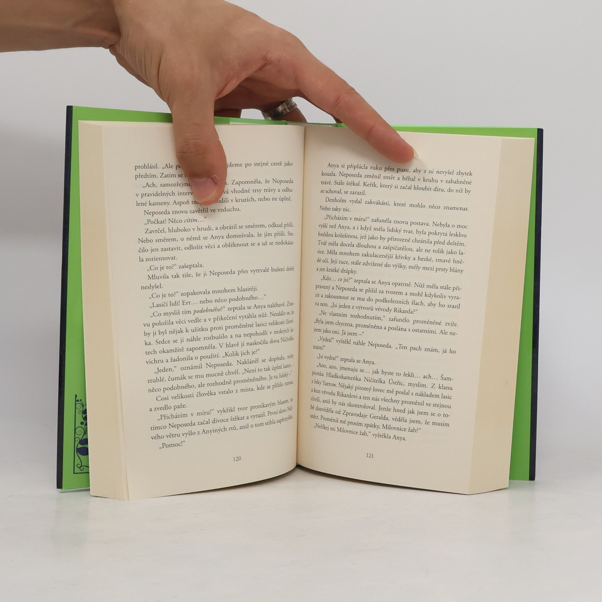 Garth Nix Žabí polibek