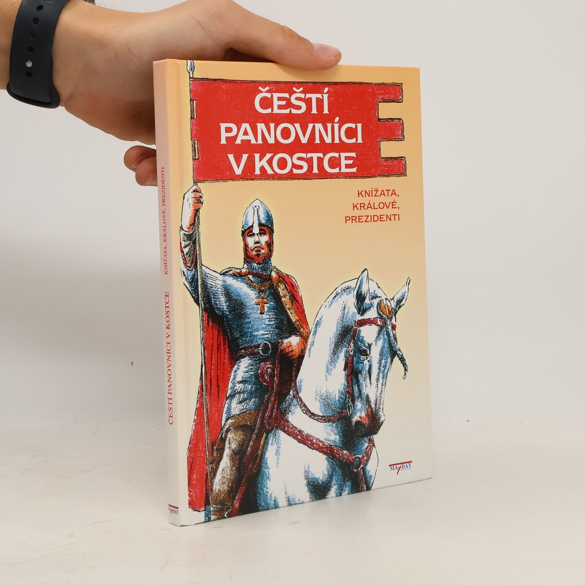 Martin Víšek Čeští panovníci v kostce: Knížata, králové, prezidenti