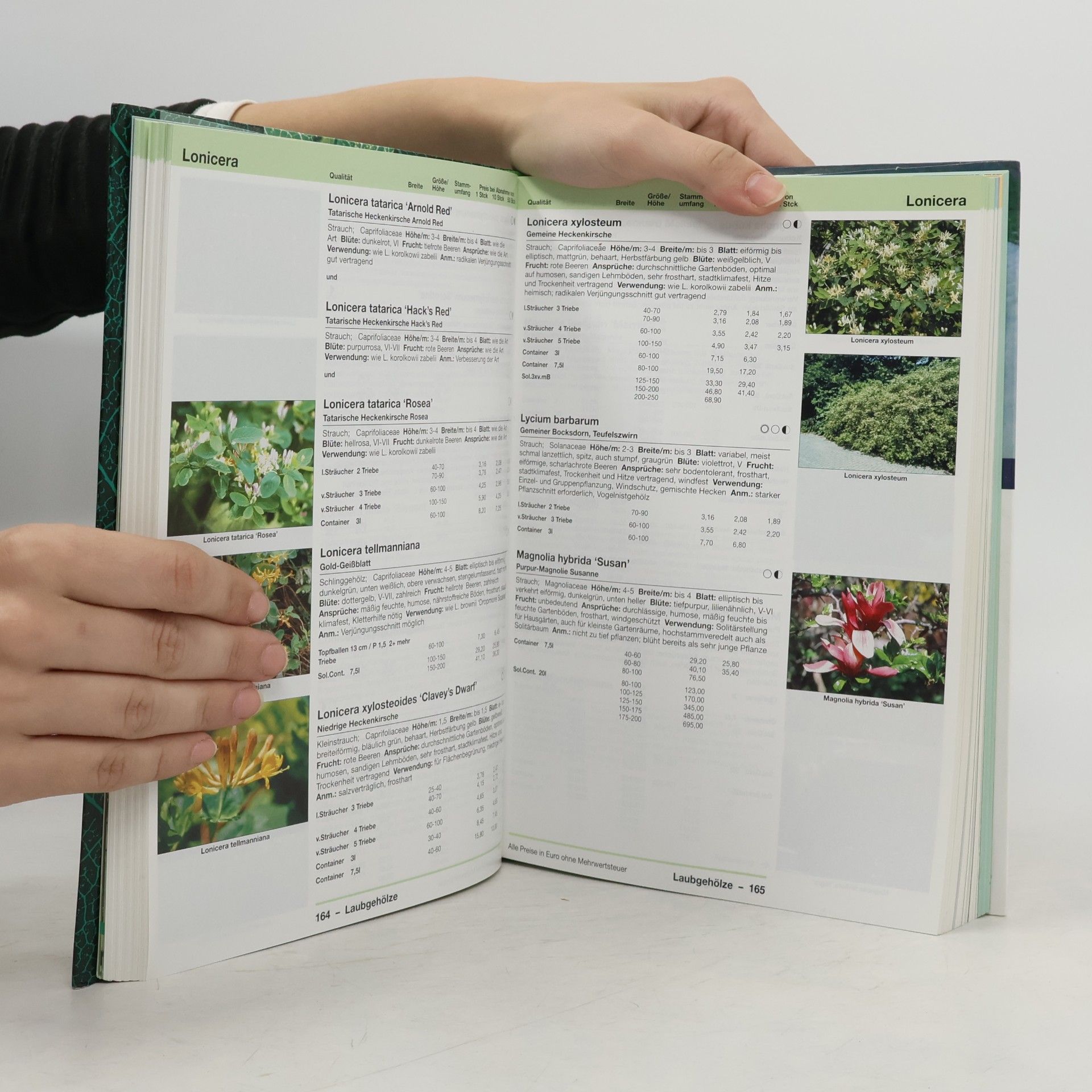 Autorenkollektiv Lorberg. Katalog 2002/2003. Baumschulerzeugnisse
