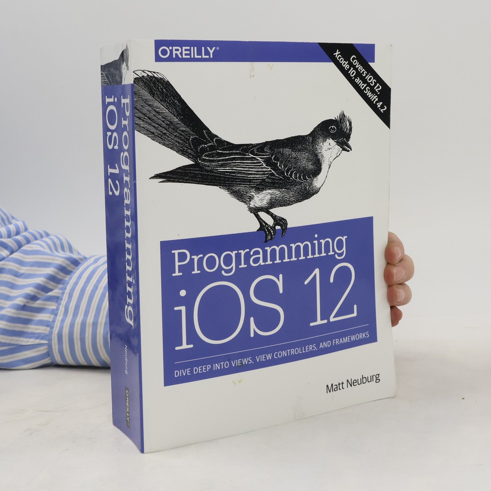 Programming iOS 12