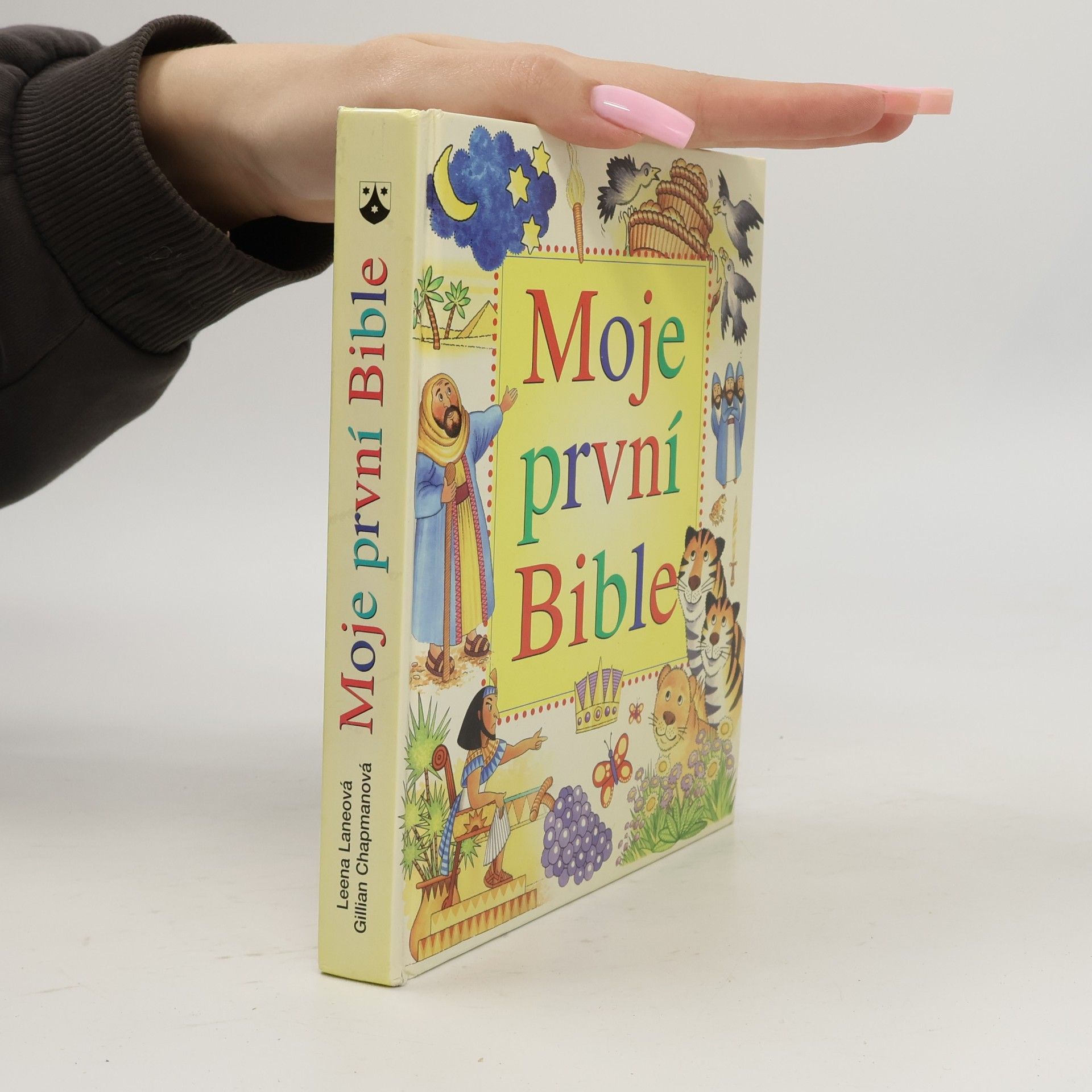 Gillian Chapman Moje první Bible
