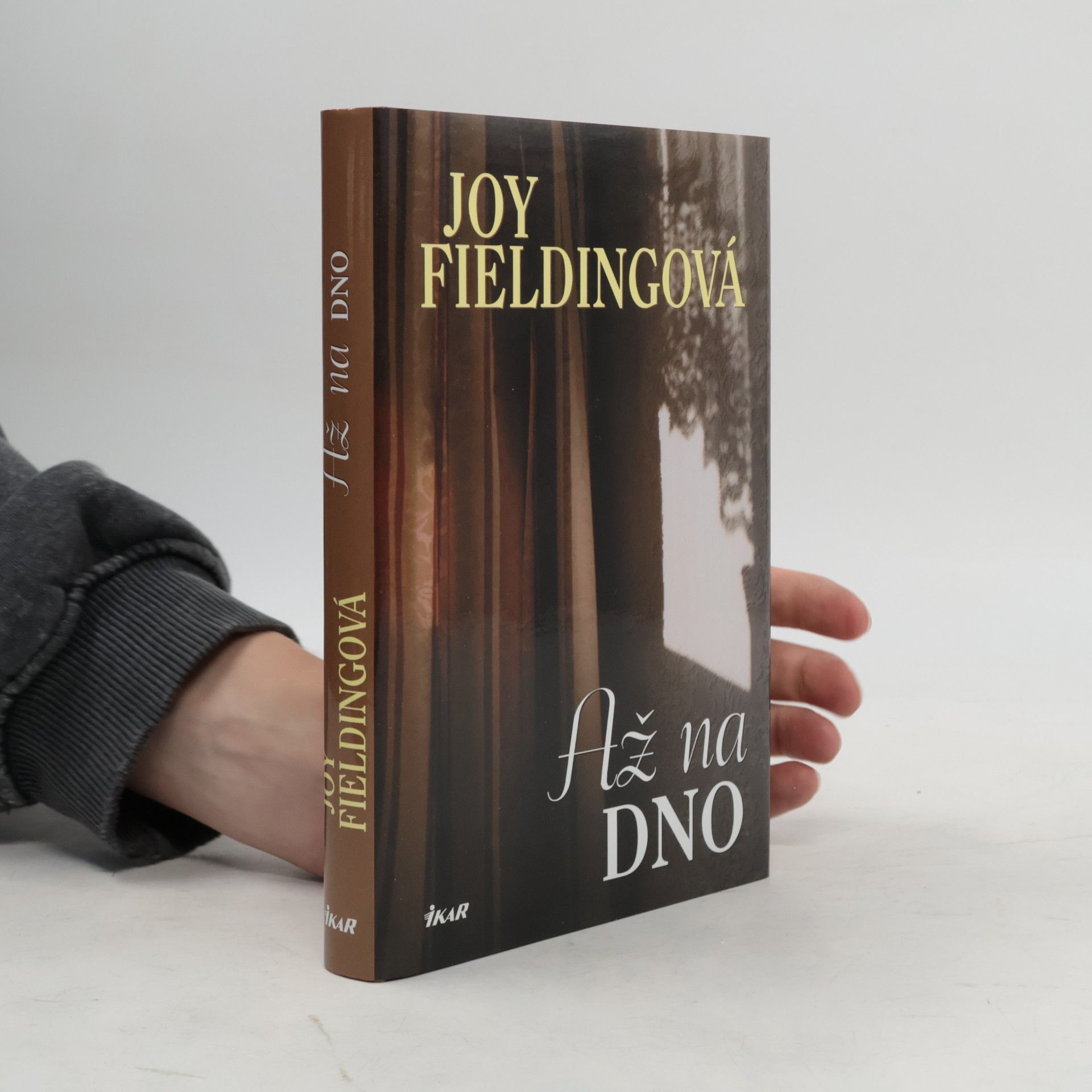 Joy Fielding Až na dno