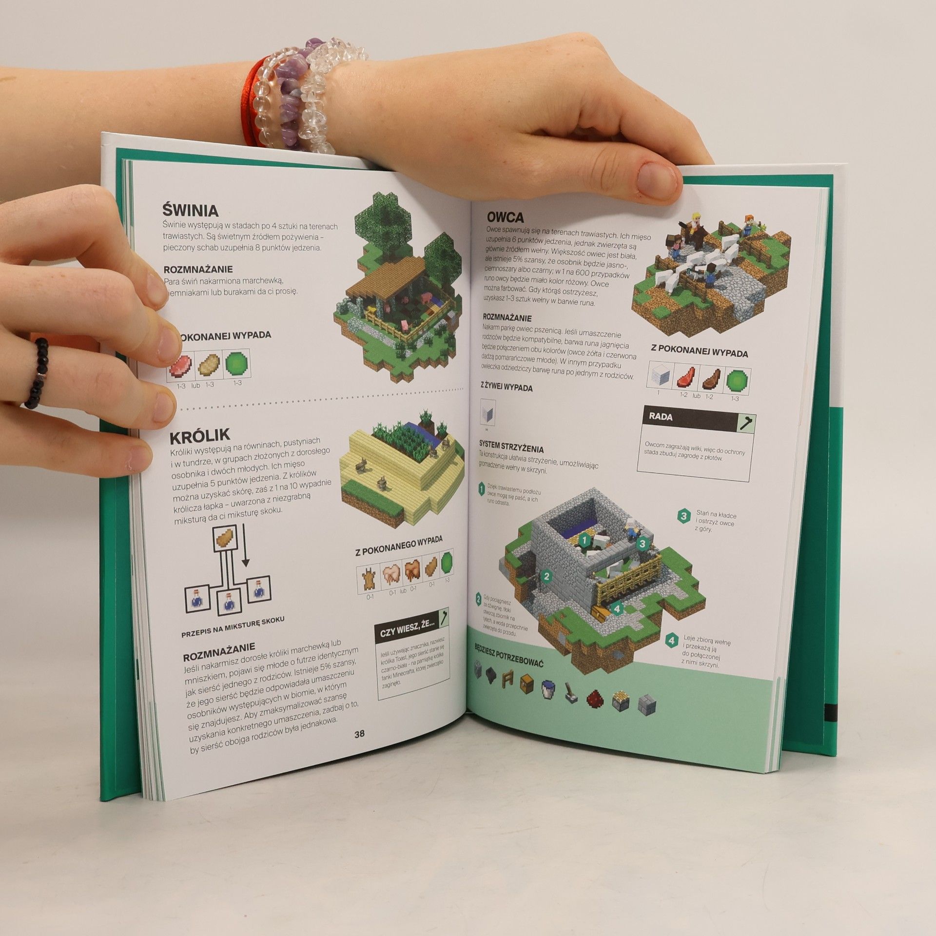 Sam Ross Minecraft: Podręcznik Farmera - Wydanie Oficjalne