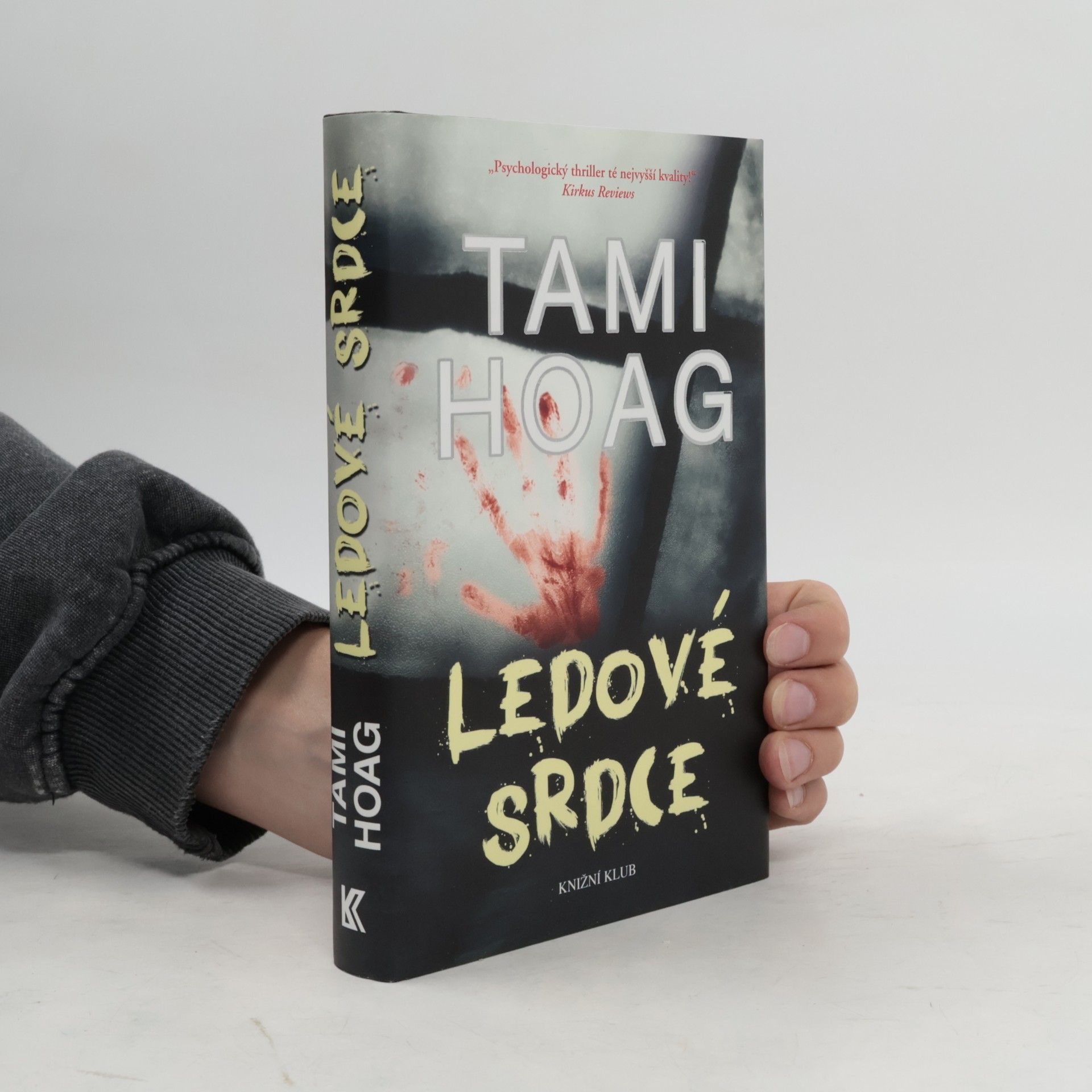 Tami Hoag Ledové srdce