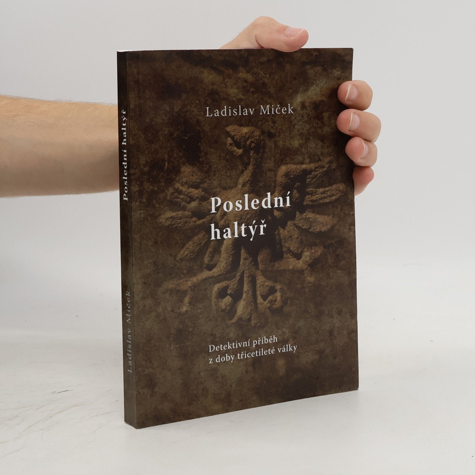 Ladislav Miček Poslední haltýř : detektivní příběh z doby třicetileté války