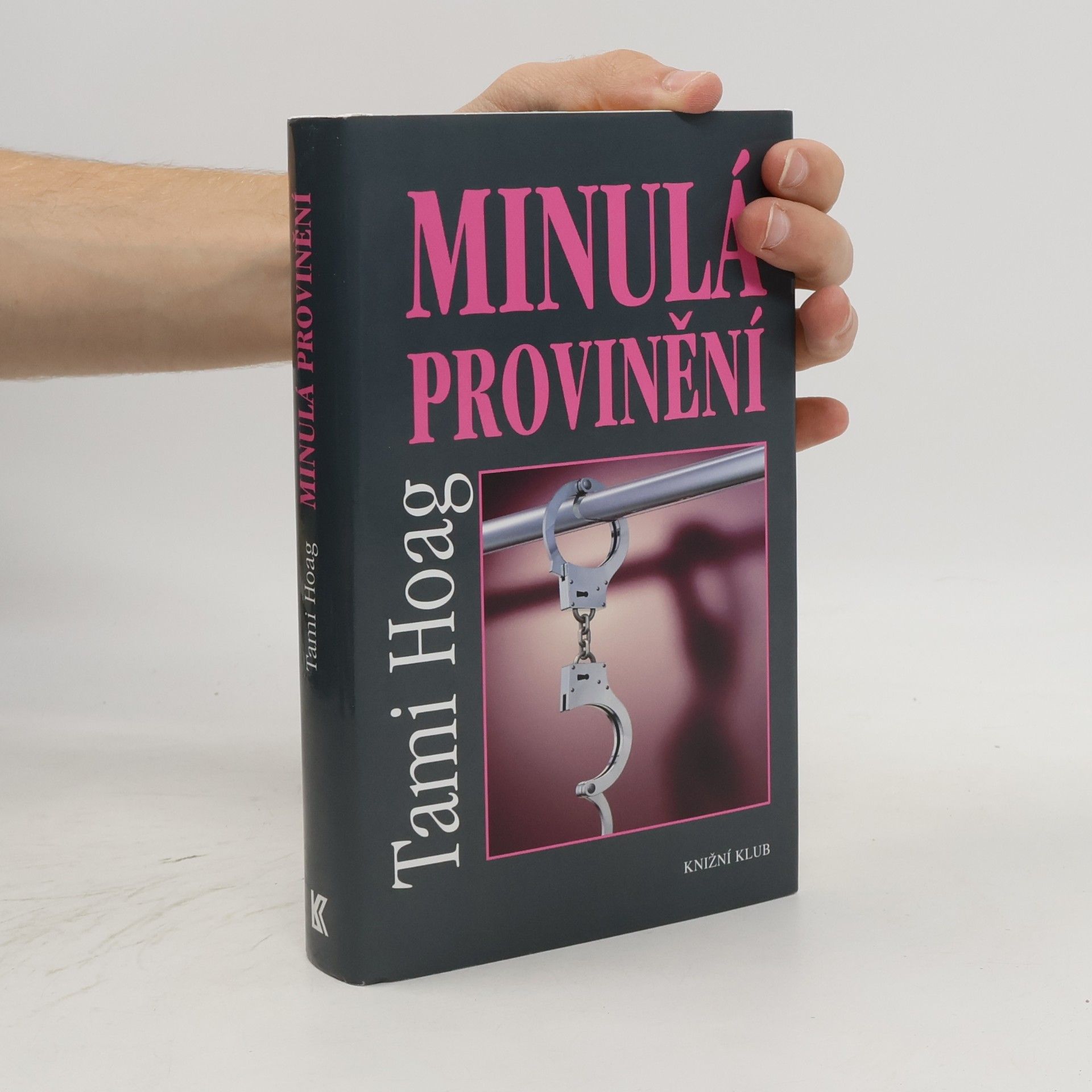 Tami Hoag Minulá provinění
