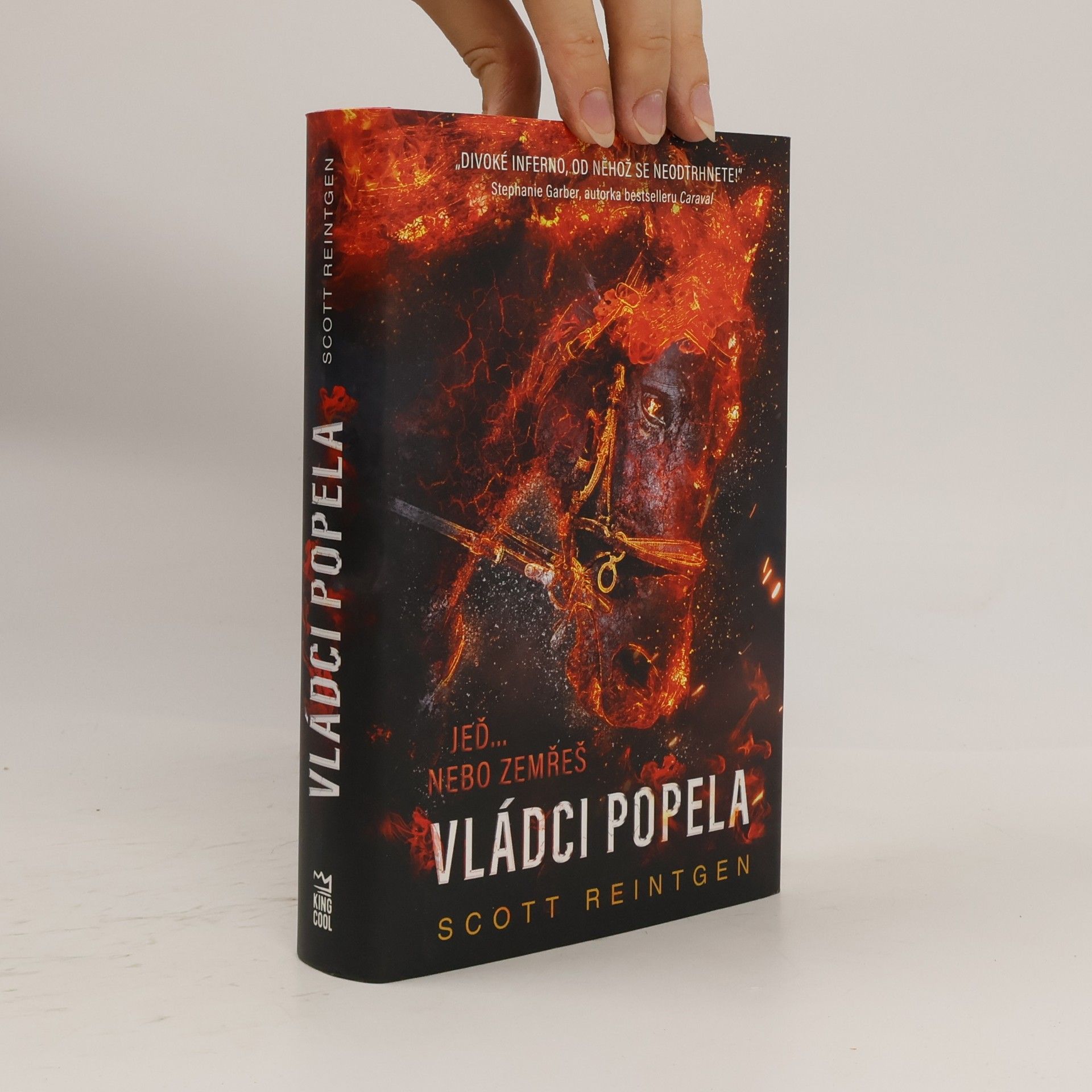 Scott Reintgen Vládci popela