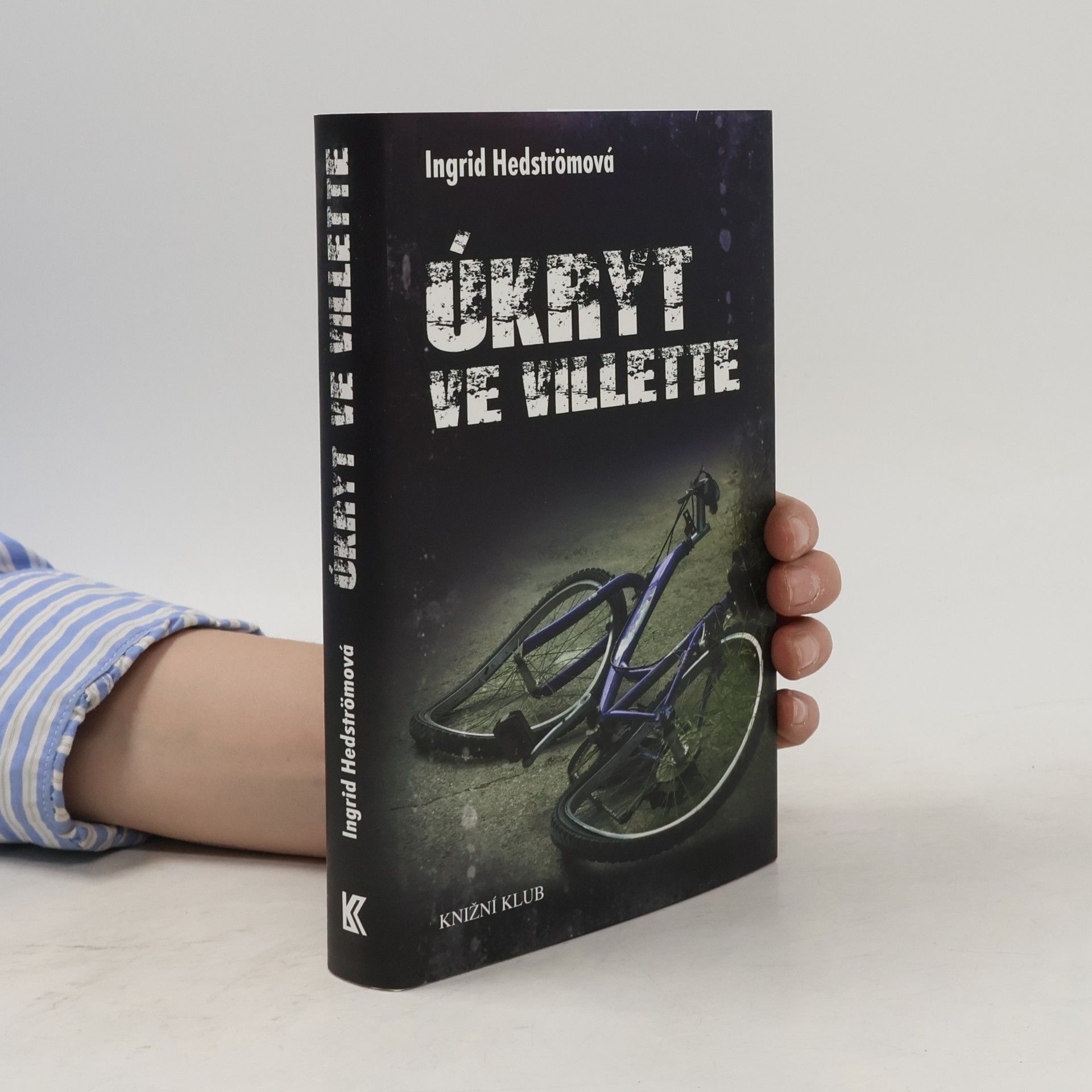 Ingrid Hedström Úkryt ve Villette