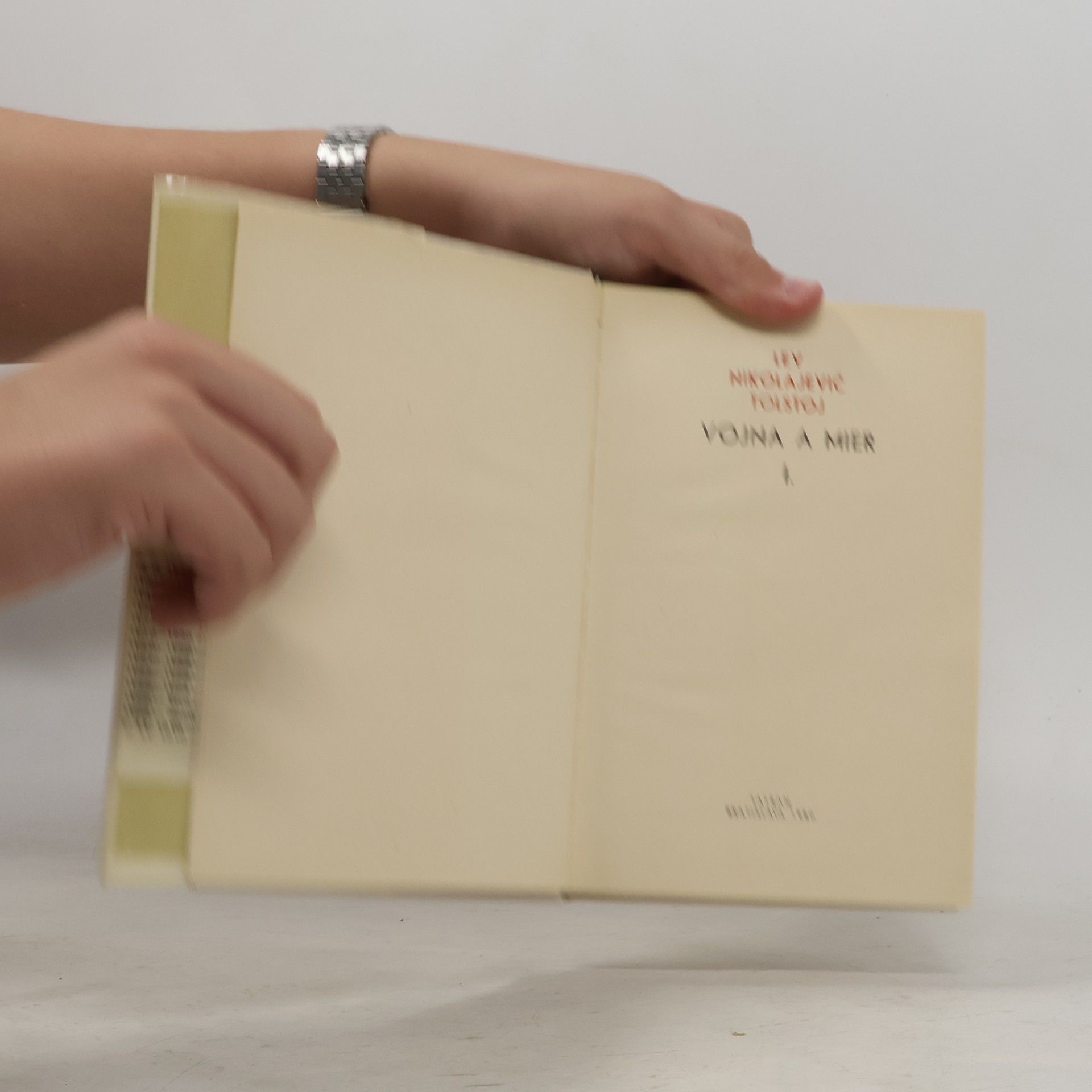 Léon Tolstoï Vojna a mier I