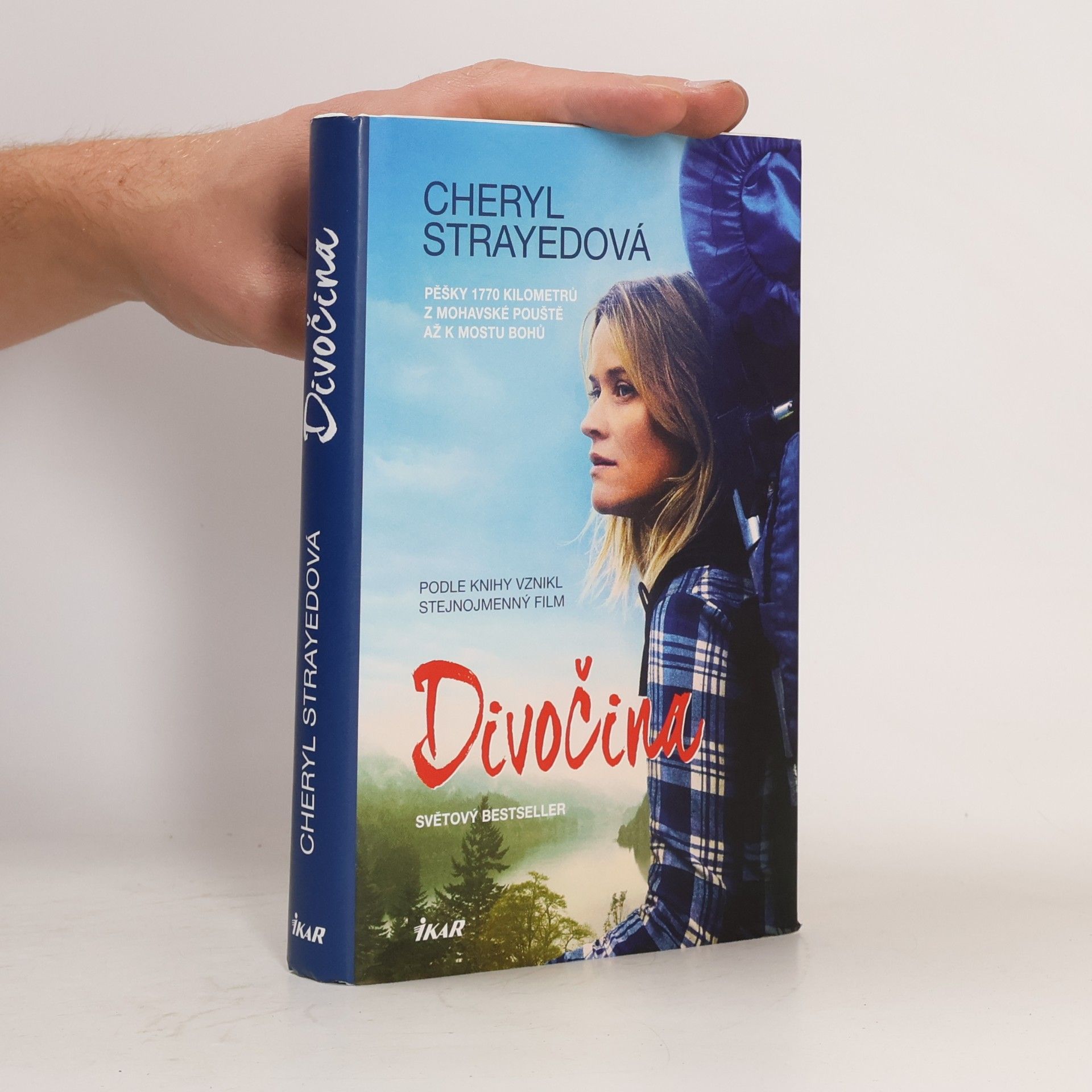 Cheryl Strayed Divočina. Pěšky 1770 kilometrů z Mohavské pouště až k mostu bohů