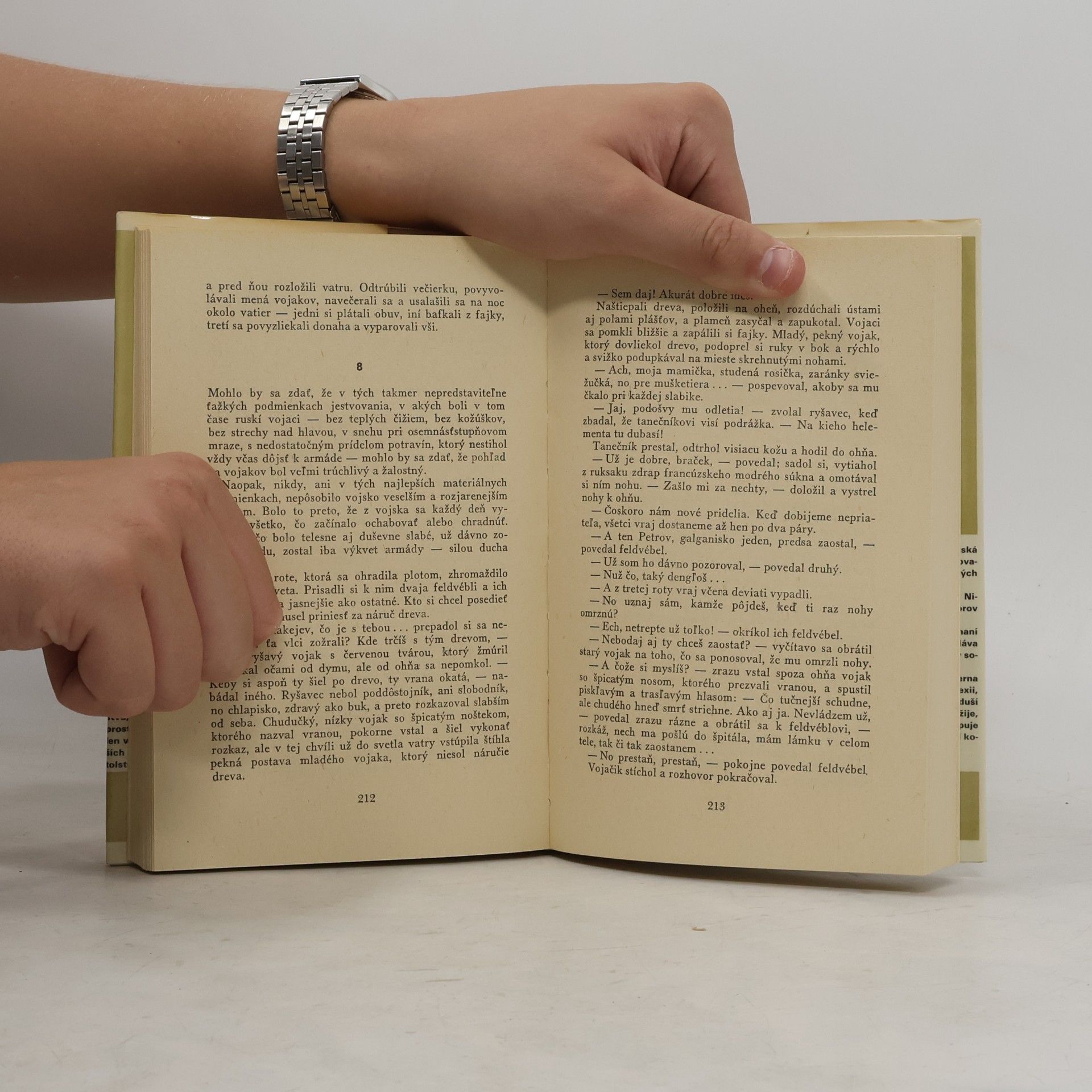Lew Nikolajewitsch Tolstoi Vojna a mier IV.