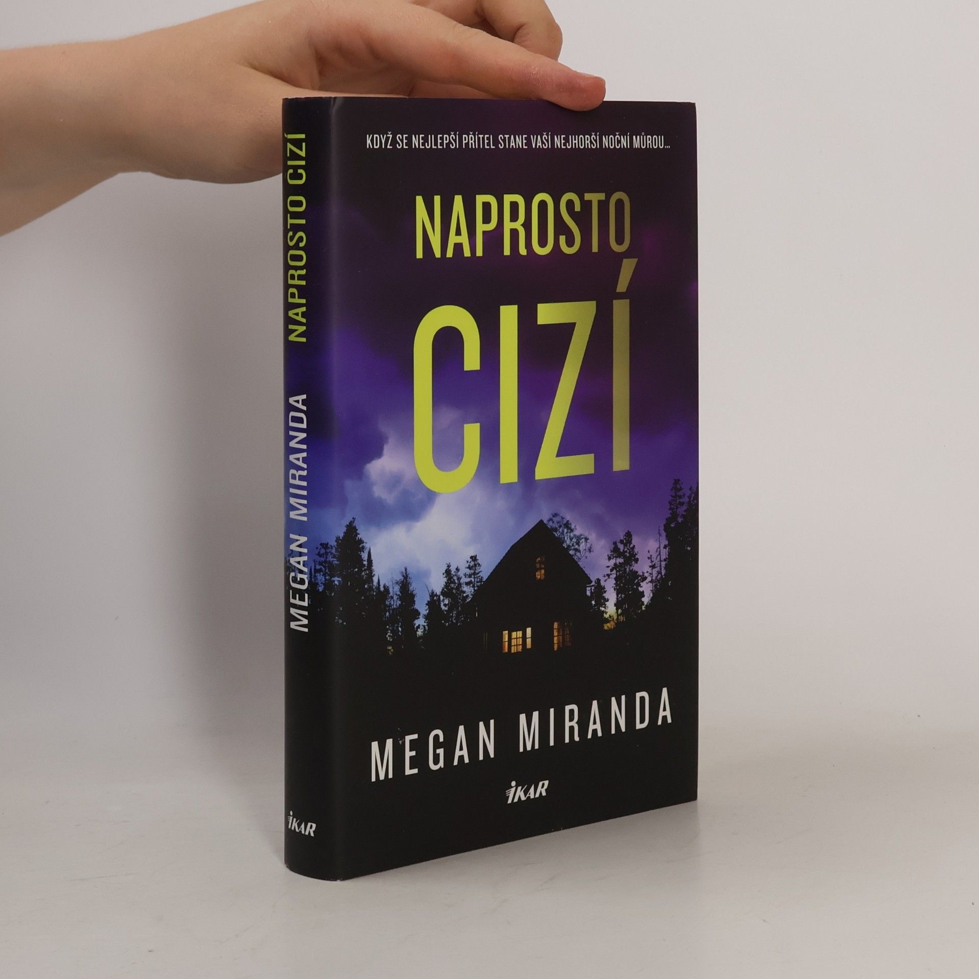 Megan Miranda Naprosto cizí