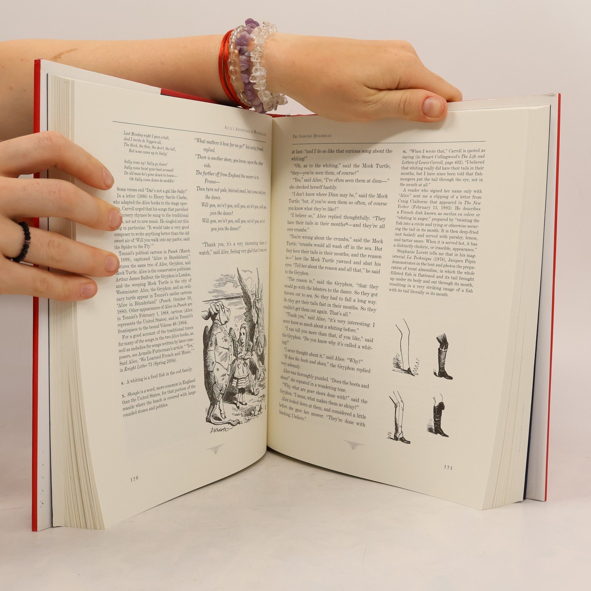 Martin Gardner The Annotated Alice