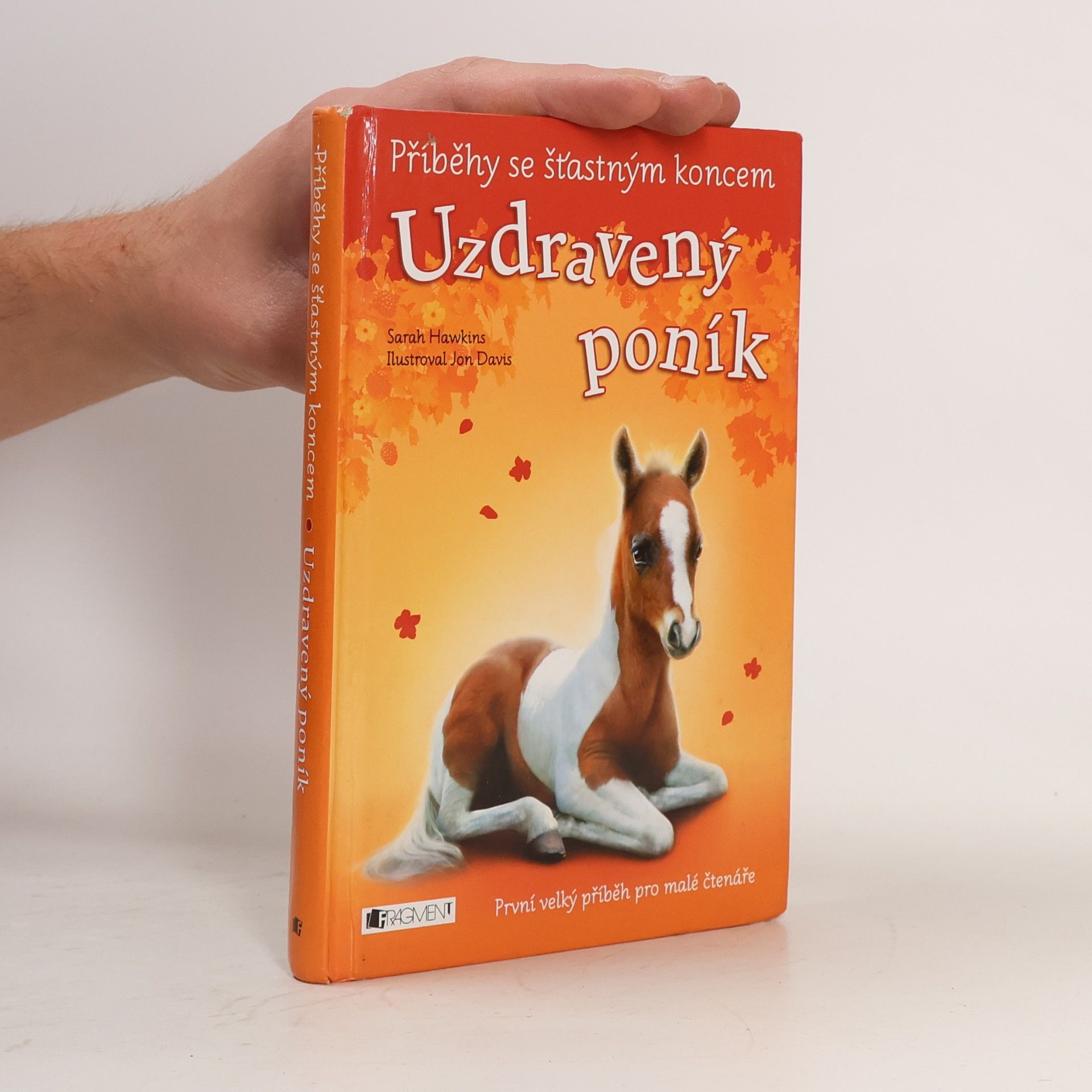 Sarah Hawkins Uzdravený poník