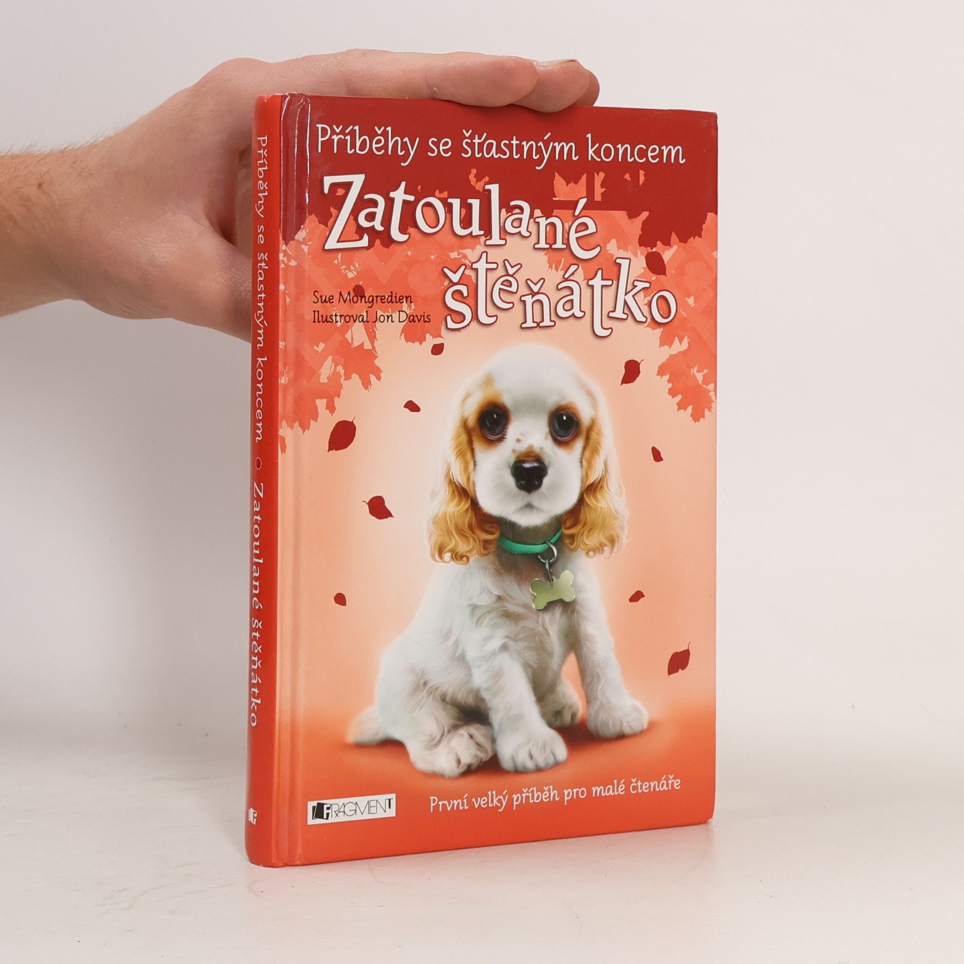 Zatoulané štěňátko