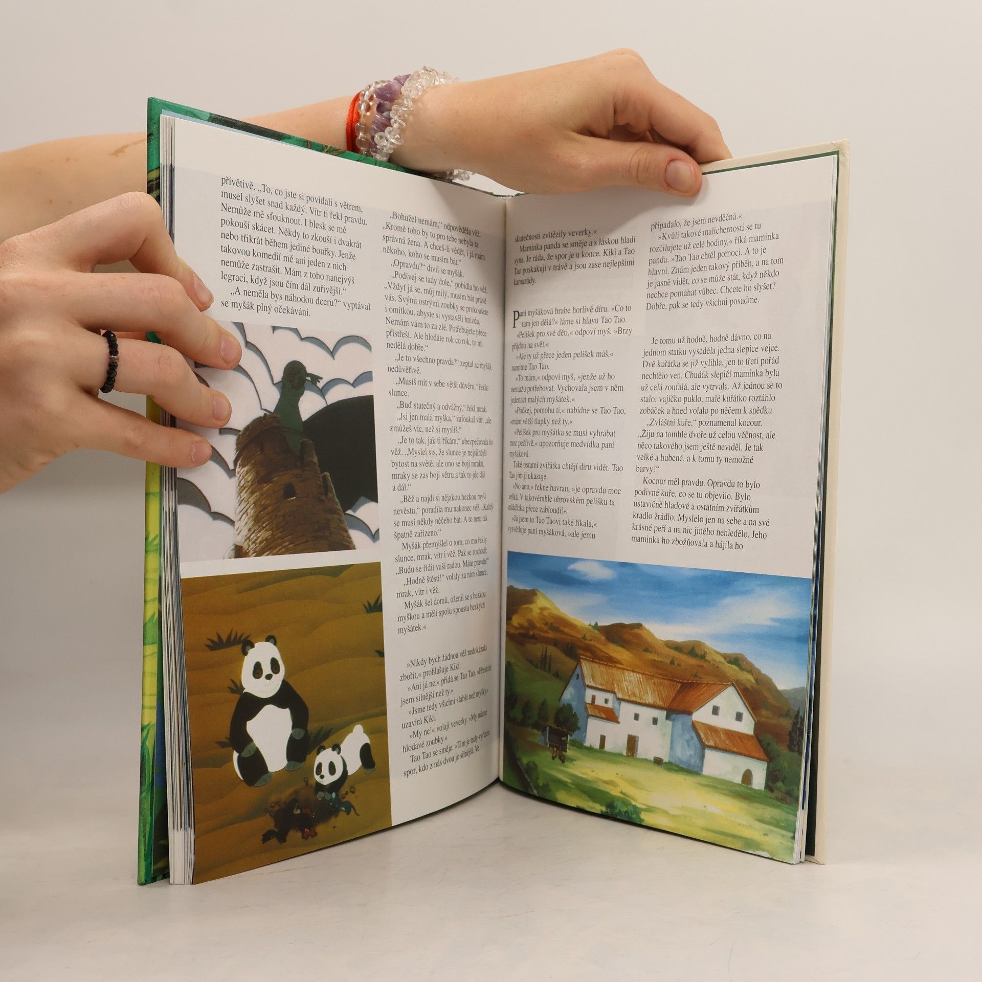 Kolektiv autorů Tao Tao. Medvídek panda