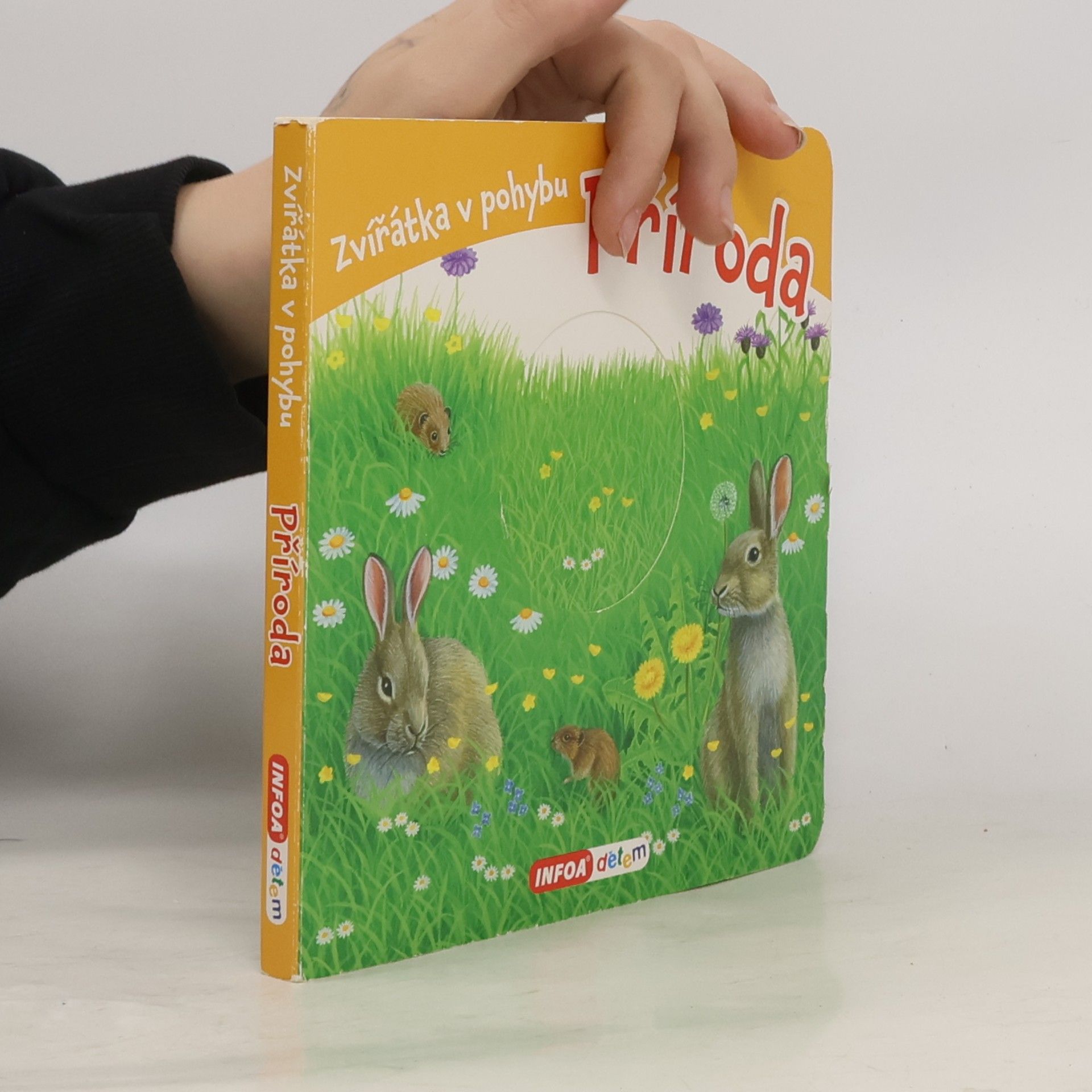 Martin Verner Příroda: Zvířátka v pohybu