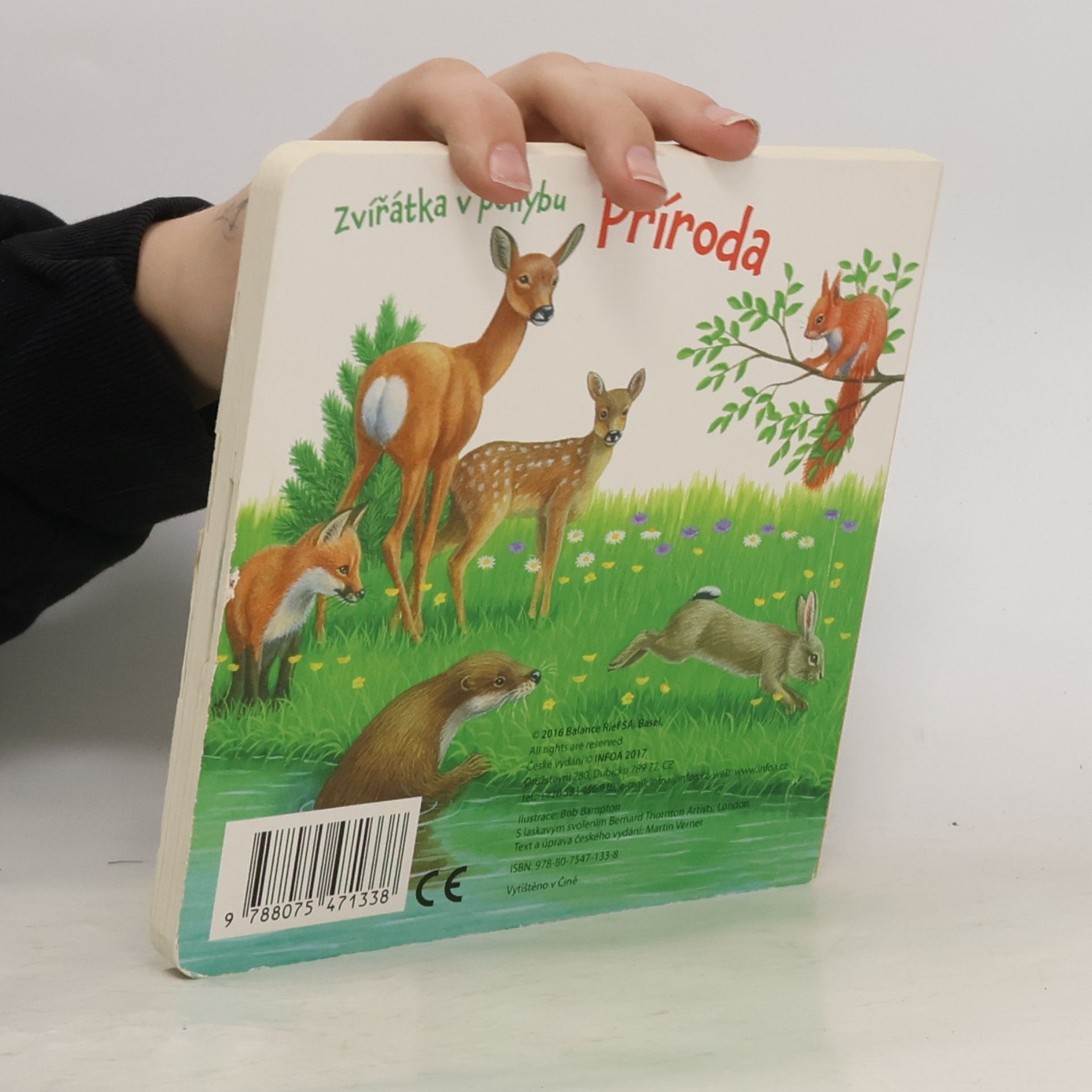 Bob Bampton Příroda: Zvířátka v pohybu