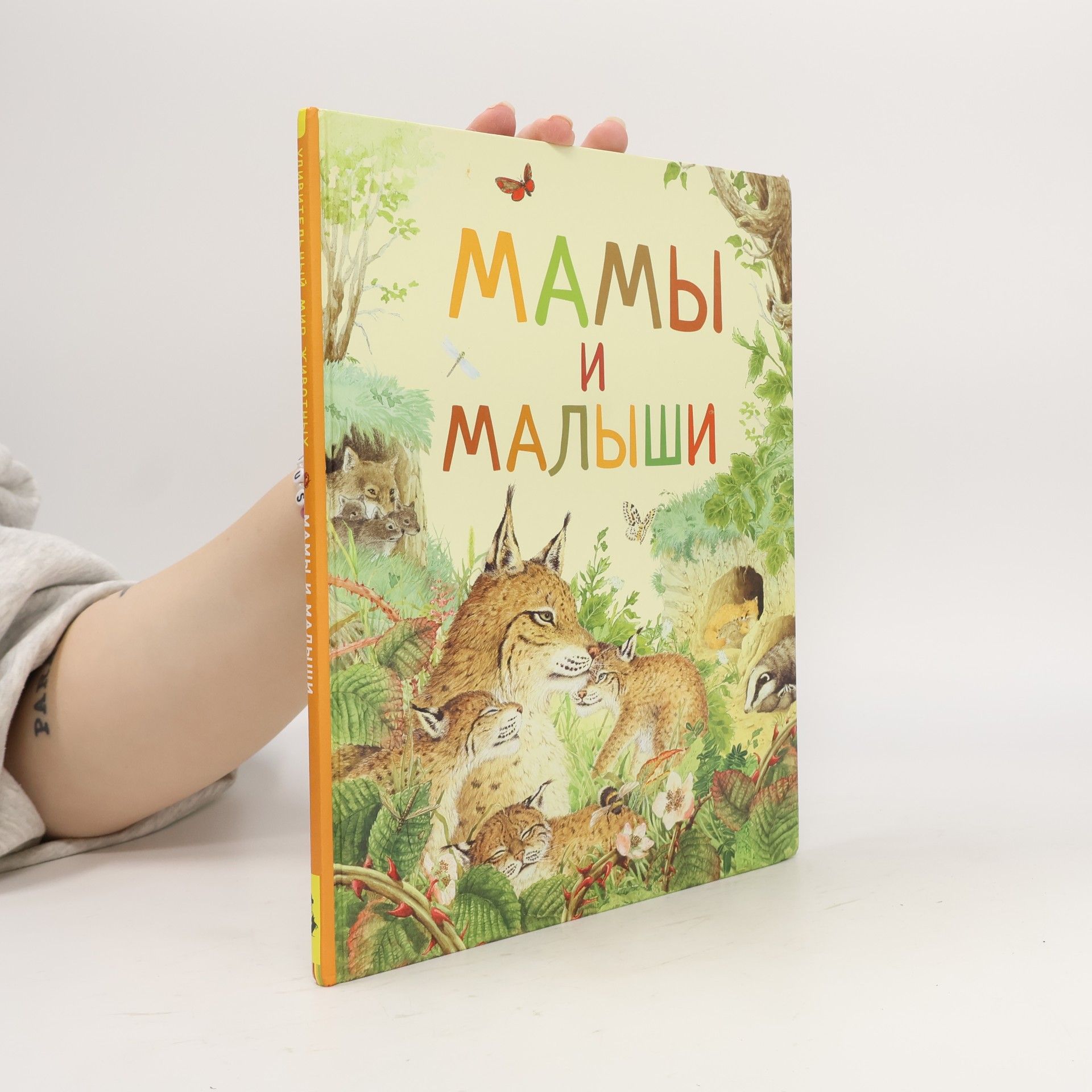 Renne Удивительный мир животных: Мамы и малыши