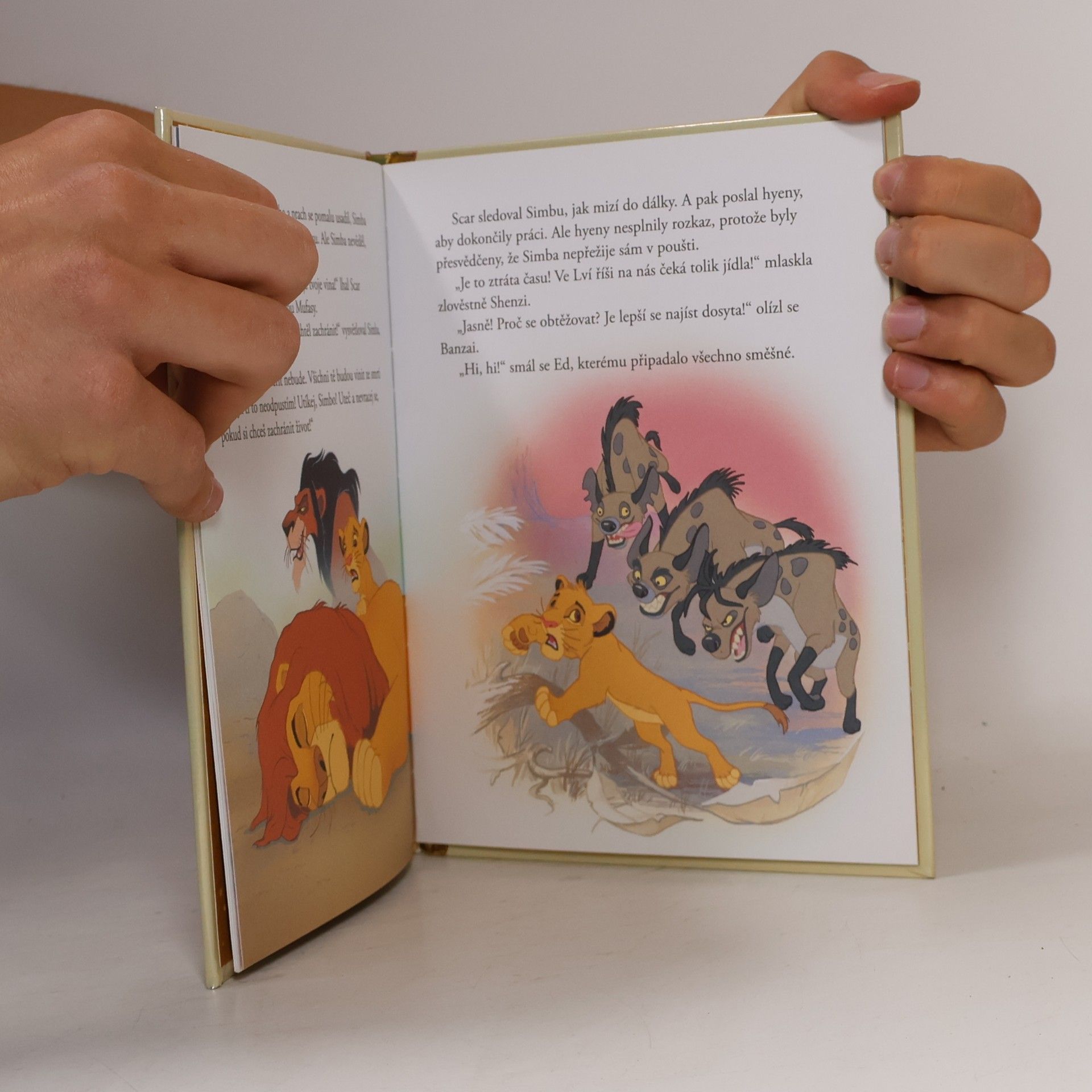 Autorenkollektiv Zlatá sbírka pohádek 1. Lví král