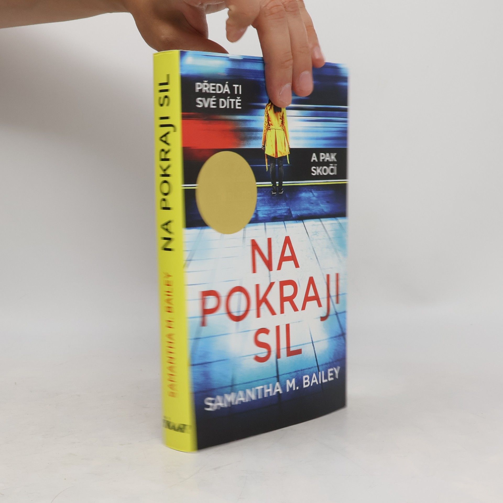 Samantha M. Bailey Na pokraji sil