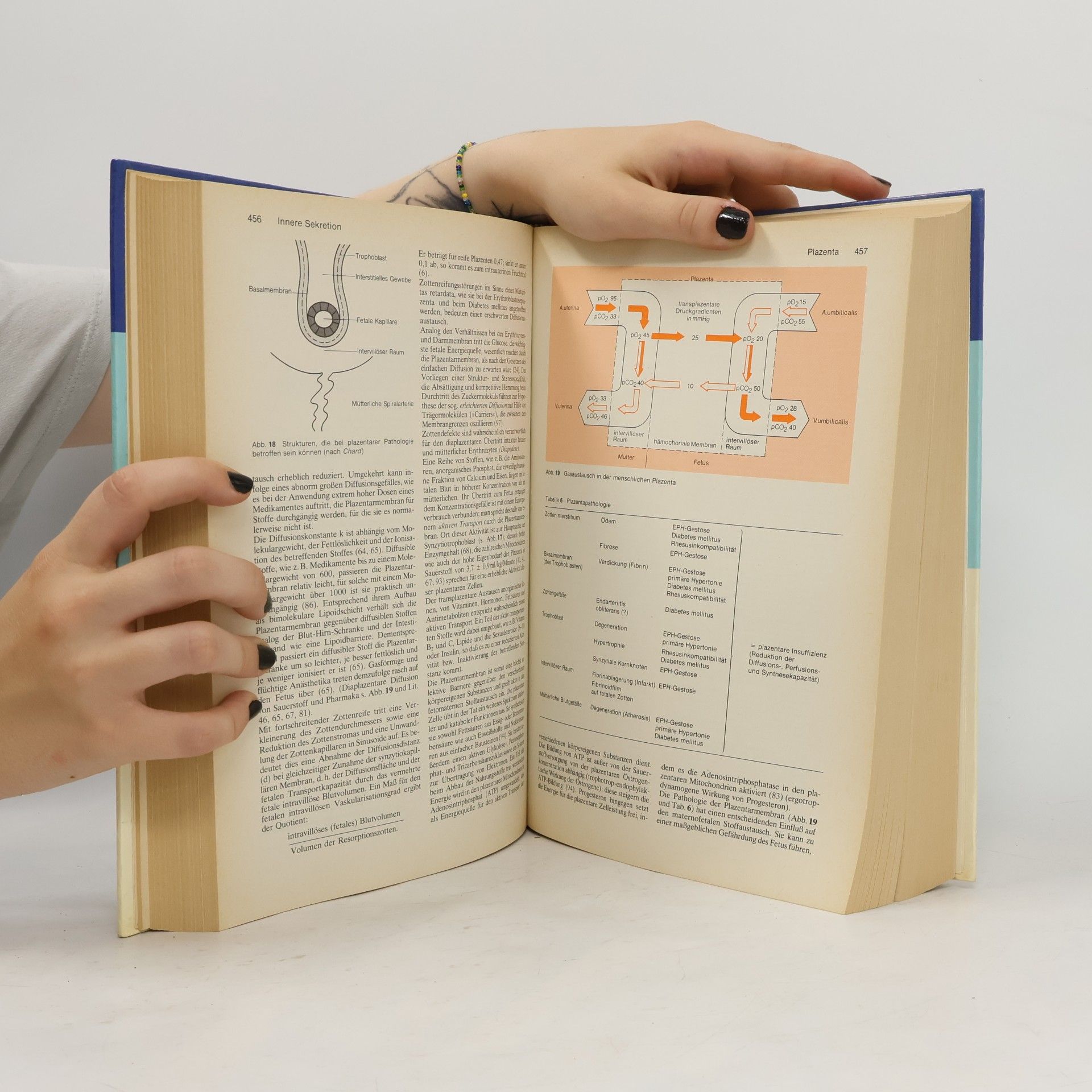 Walter Siegenthaler Klinische Pathophysiologie
