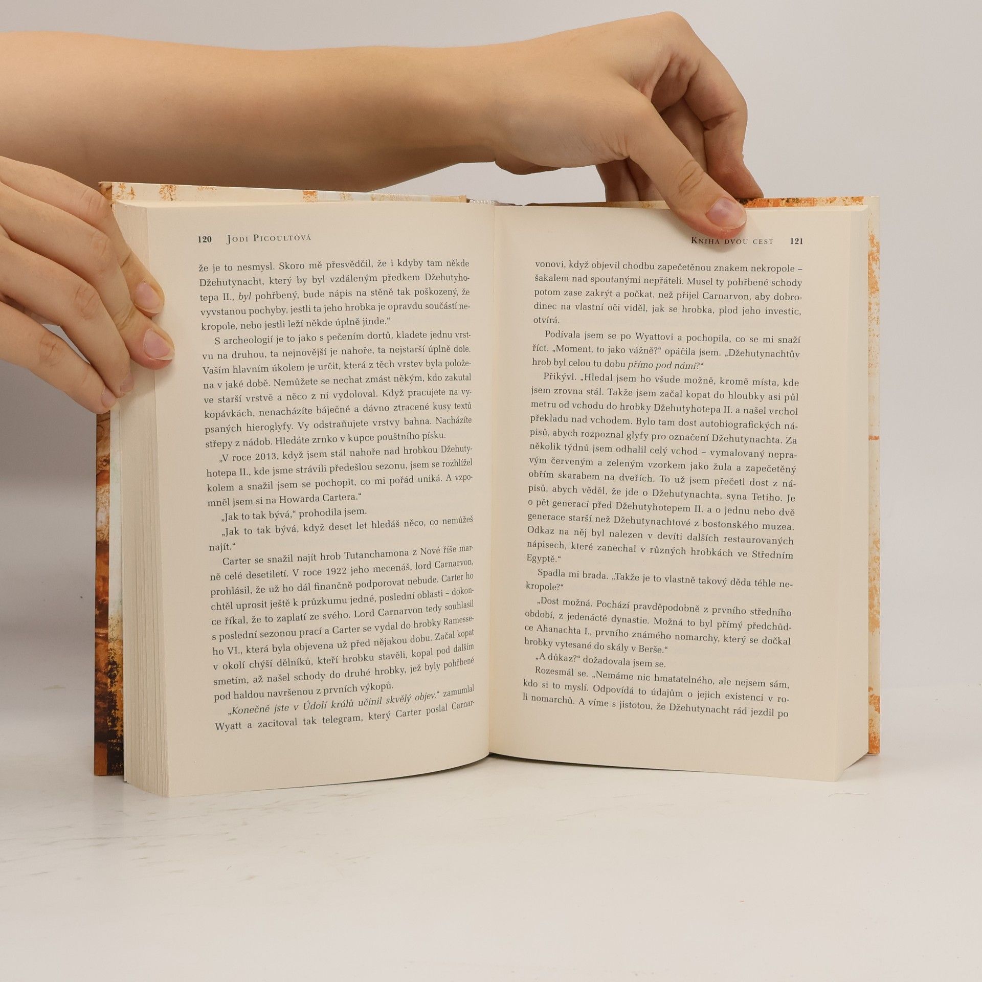 Jodi Picoult Kniha dvou cest