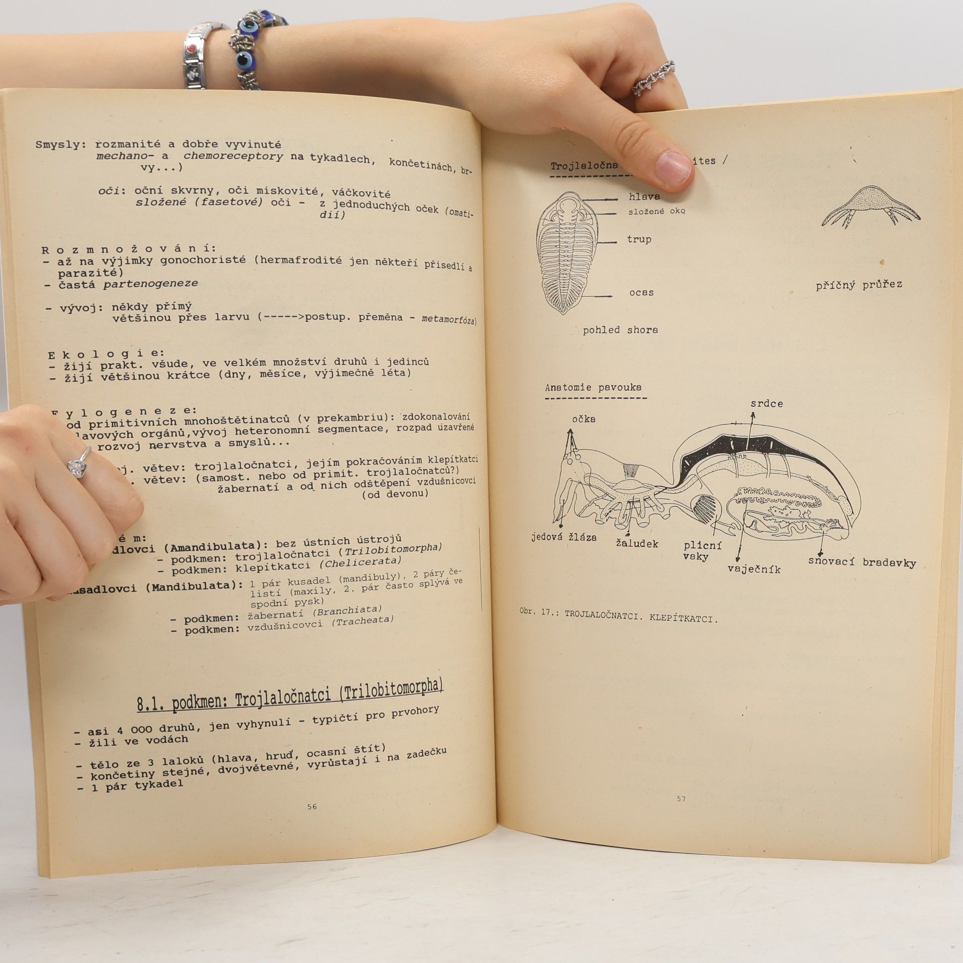 František Kislinger Biologie II.