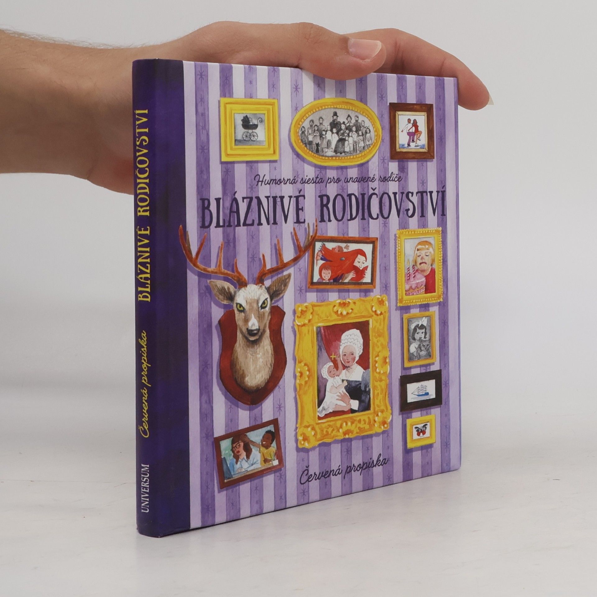 Kolektív autorov Bláznivé rodičovství. Humorná siesta pro unavené rodiče