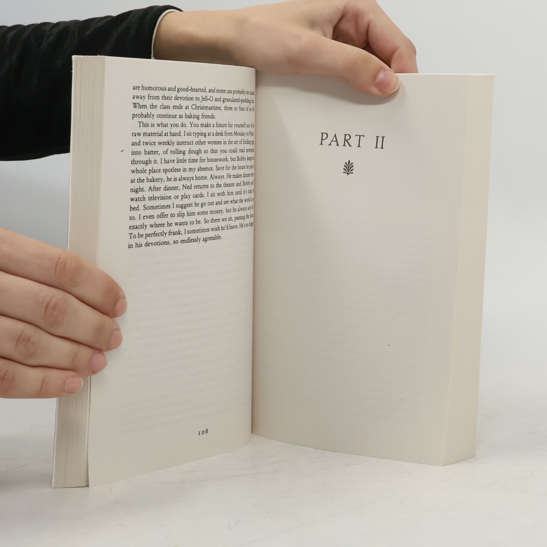 Michael Cunningham A Home at the End of the World