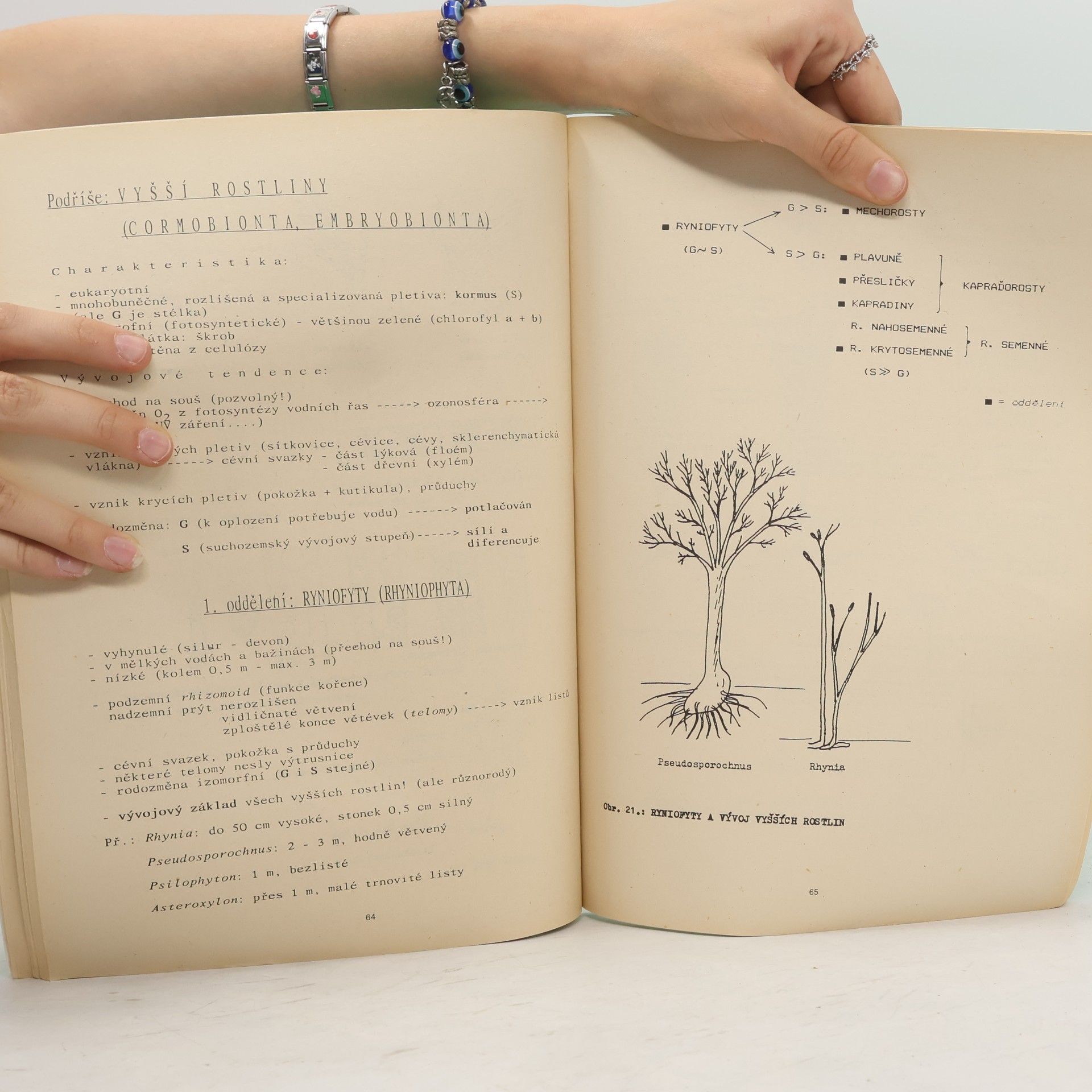 F. Kislinger Biologie I.