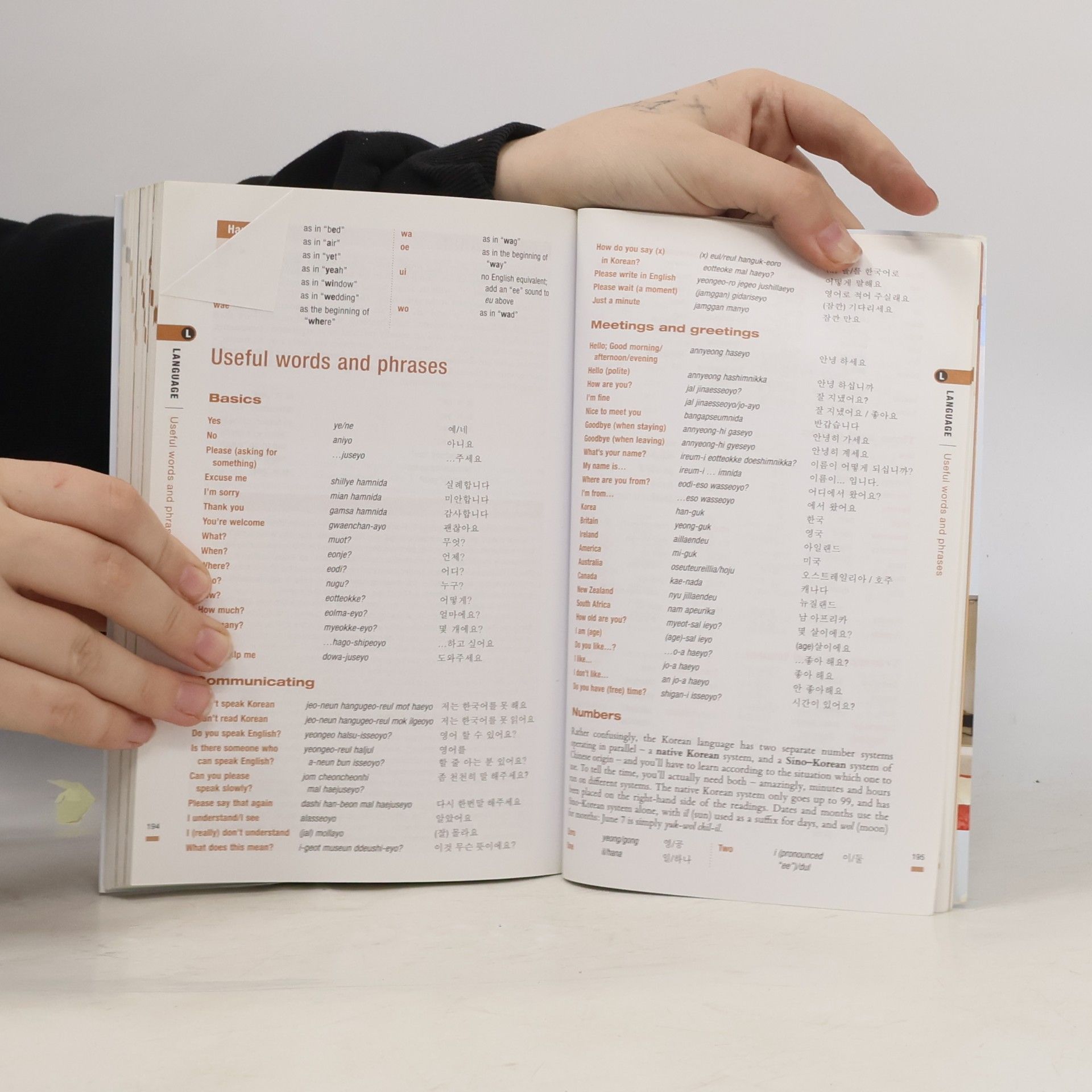 Martin Zatko The rough guide to Seoul