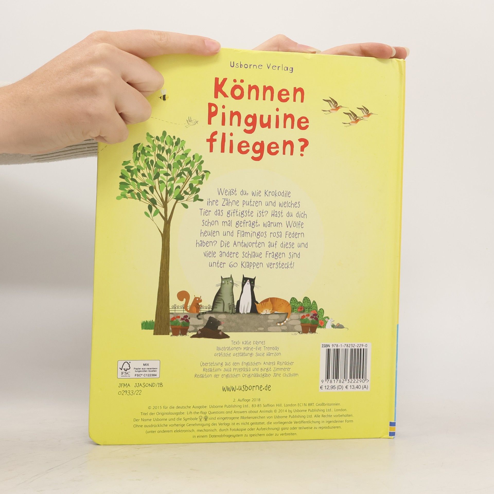 Katie Daynes Können Pinguine fliegen?