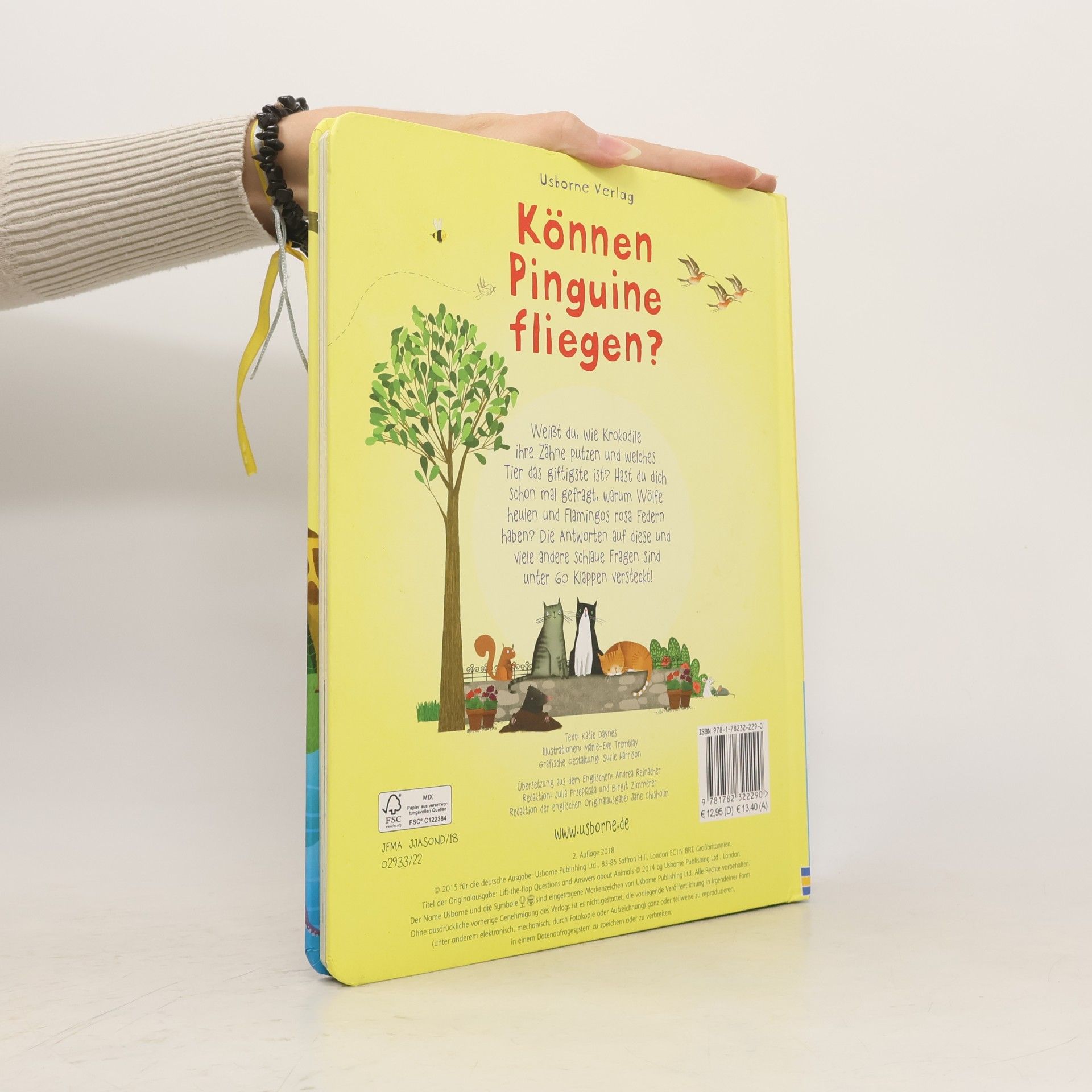 Katie Daynes Können Pinguine fliegen?
