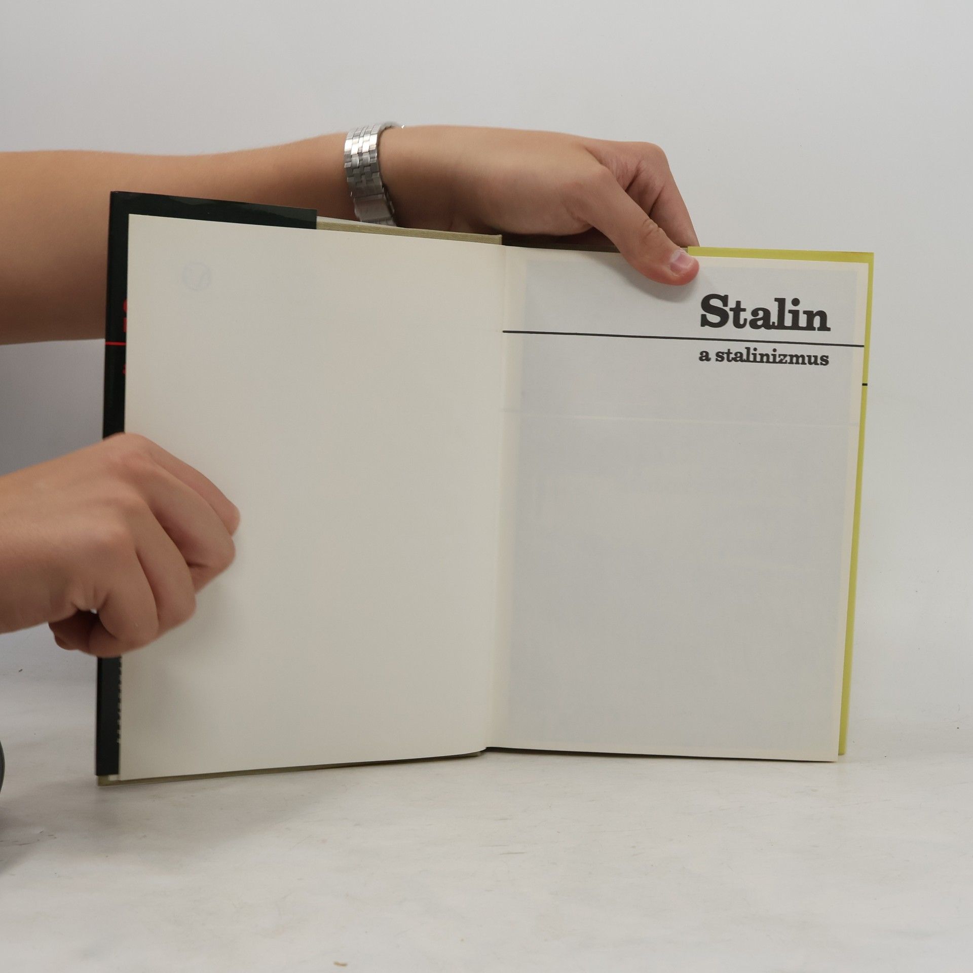Roj Medvedev Stalin a stalinizmus. Historické črty