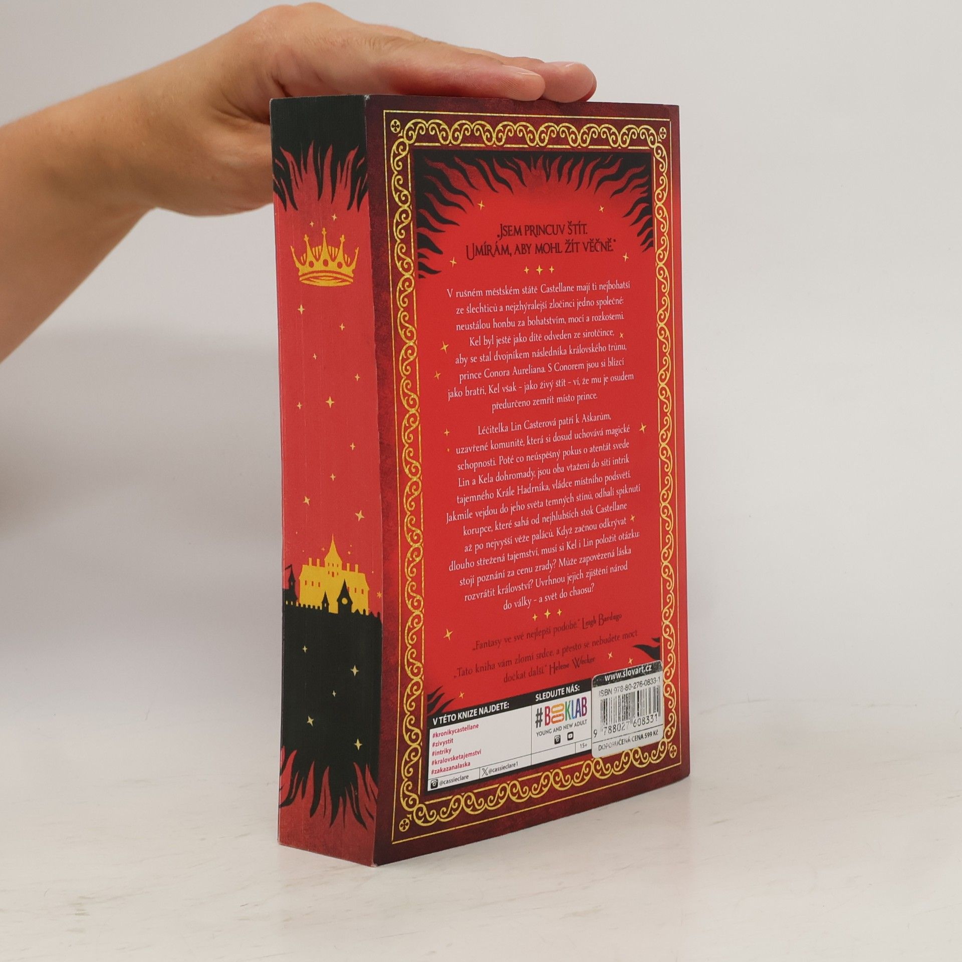 Cassandra Clare Princův štít