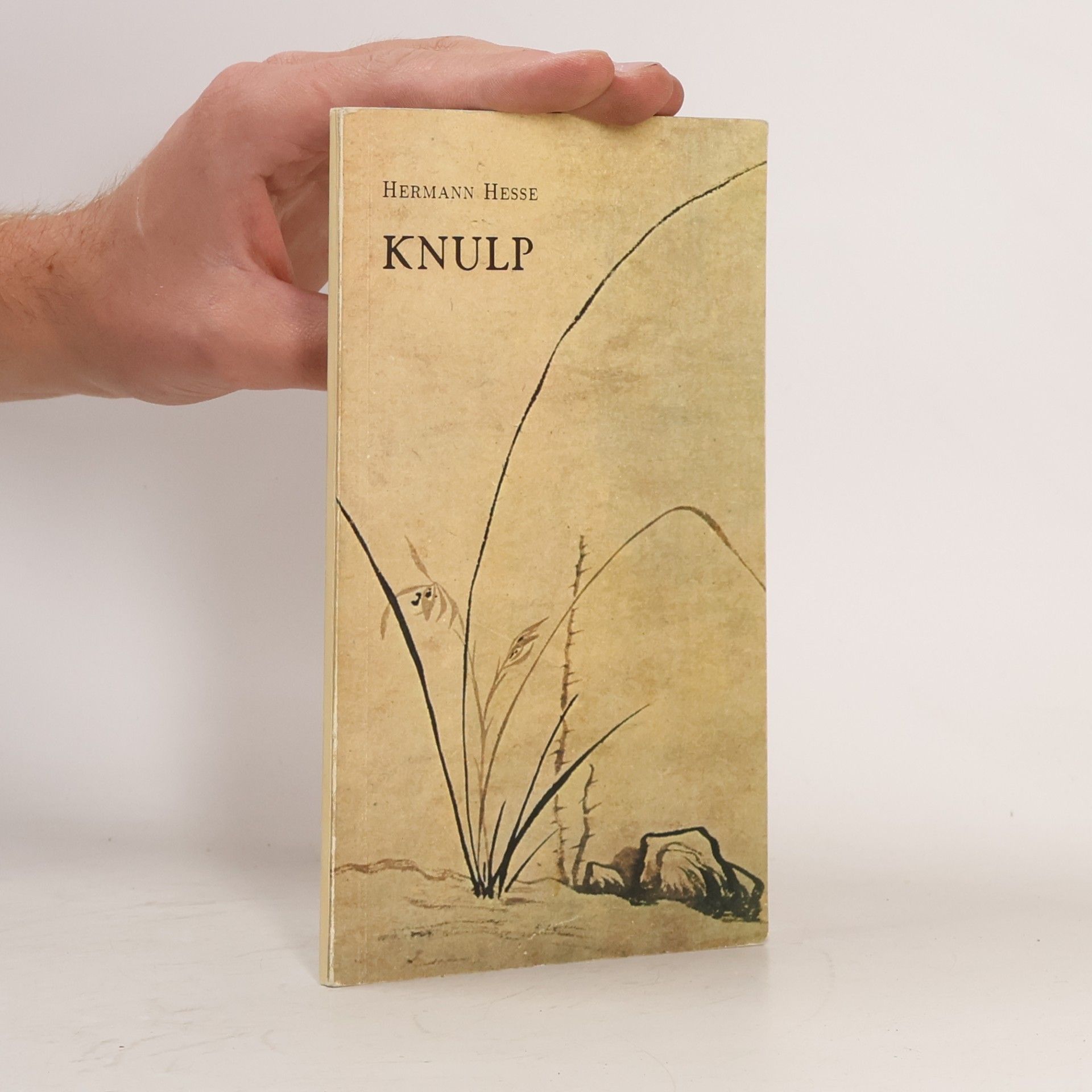 Hermann Hesse Knulp