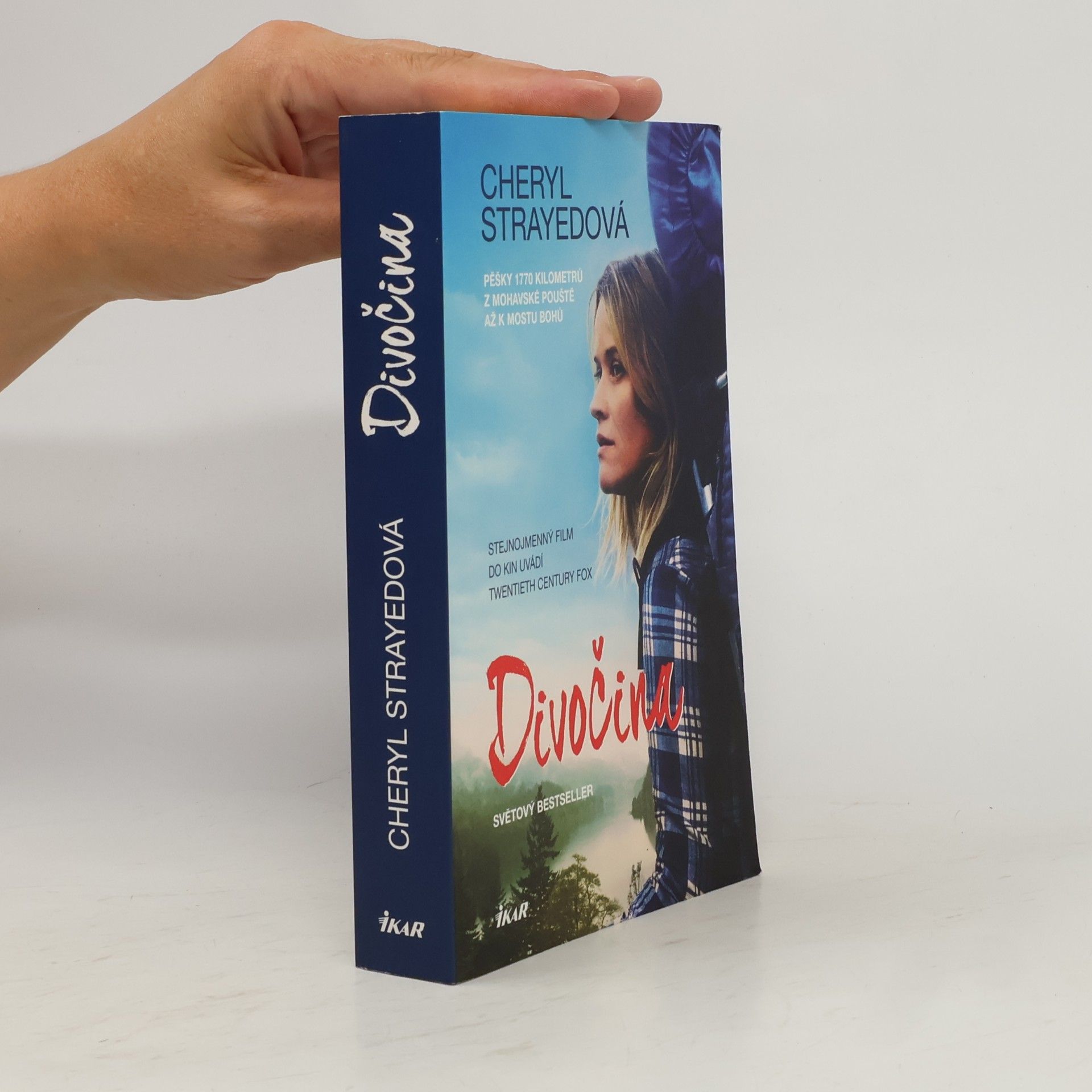 Cheryl Strayed Divočina. Pěšky 1770 kilometrů z Mohavské pouště až k mostu bohů