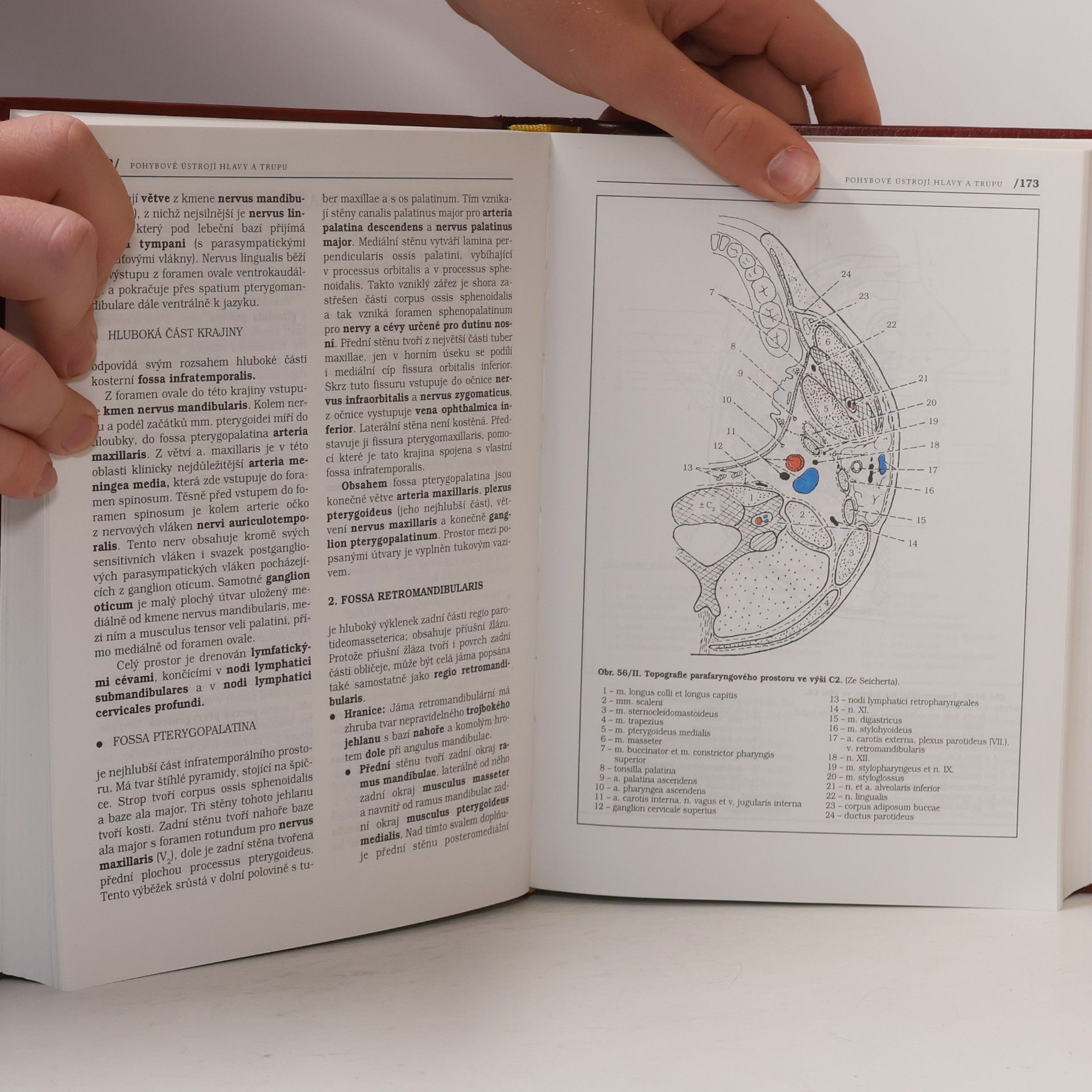 Pavel Petrovický Anatomie s topografií a klinickými aplikacemi I. Pohybové ústrojí