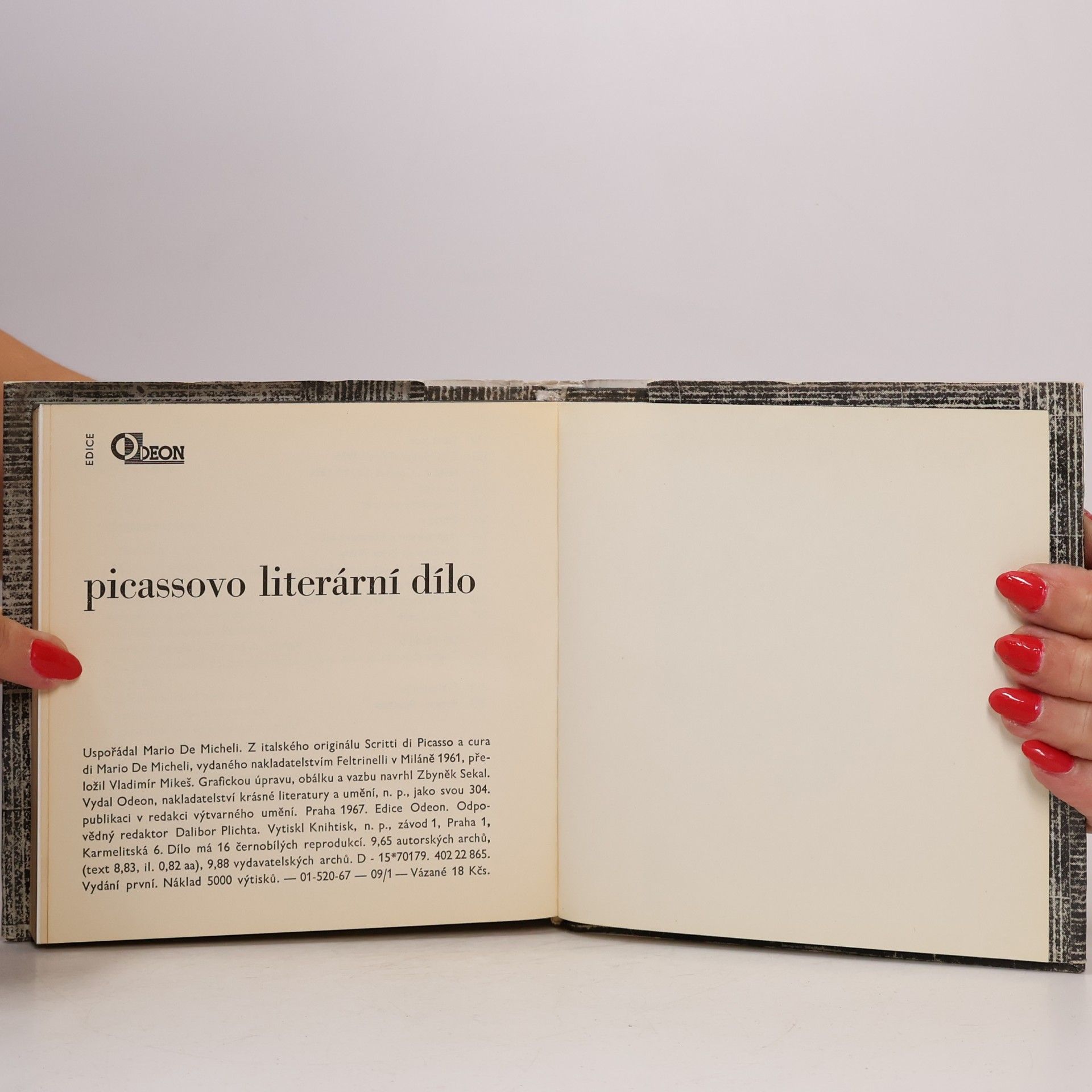 Mario De Micheli Picassovo literární dílo