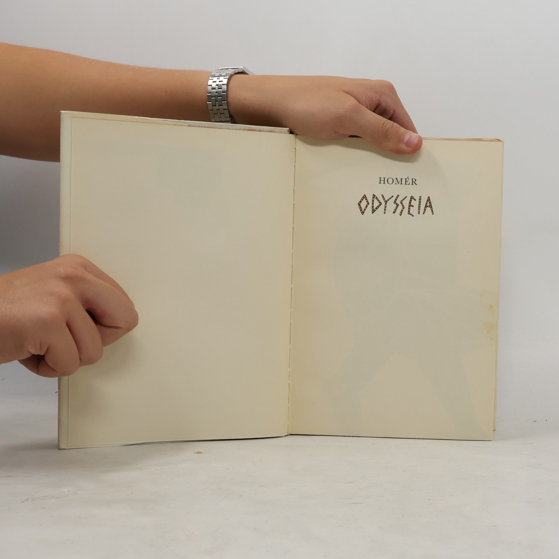 Homér Odysseia