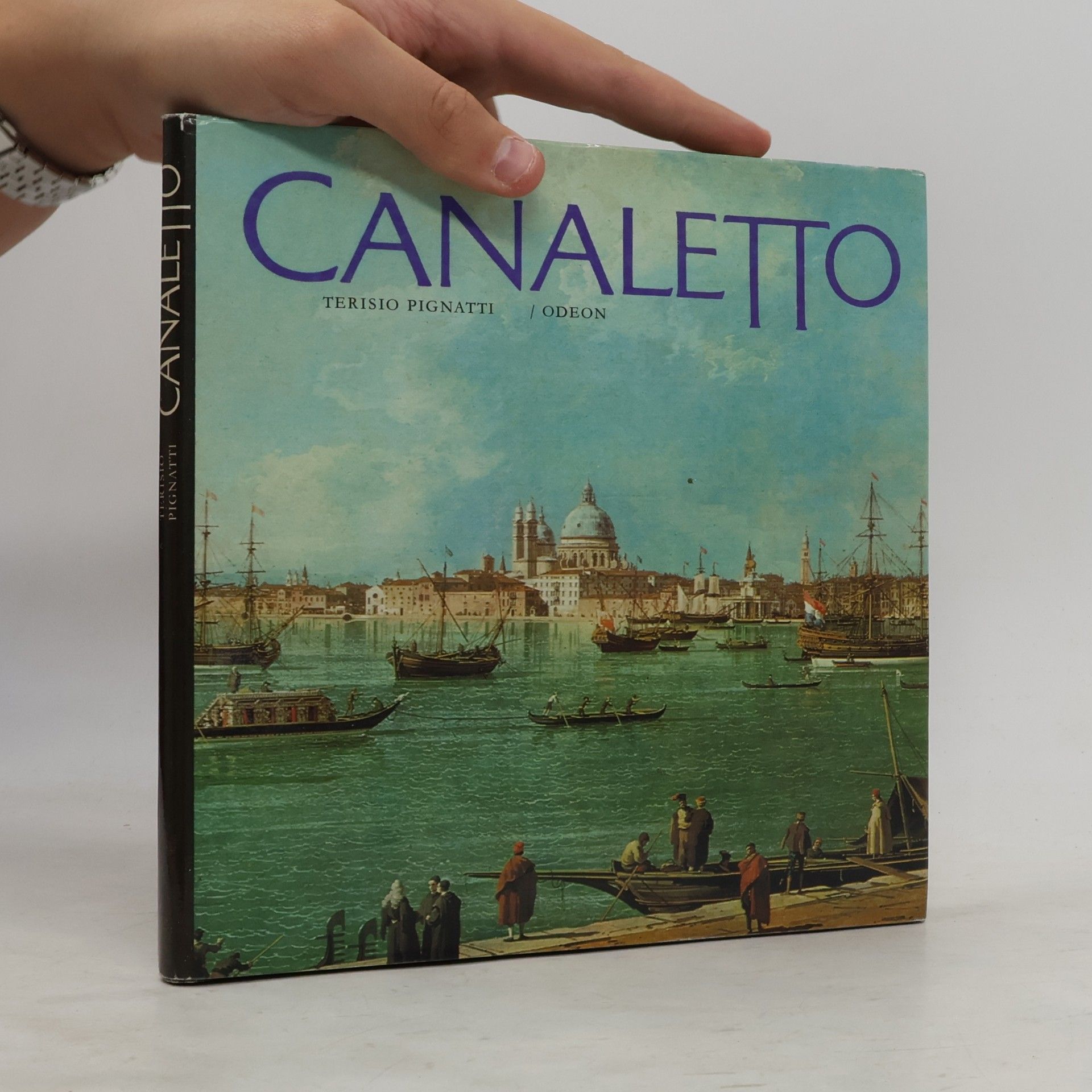 Terisio Pignatti Canaletto