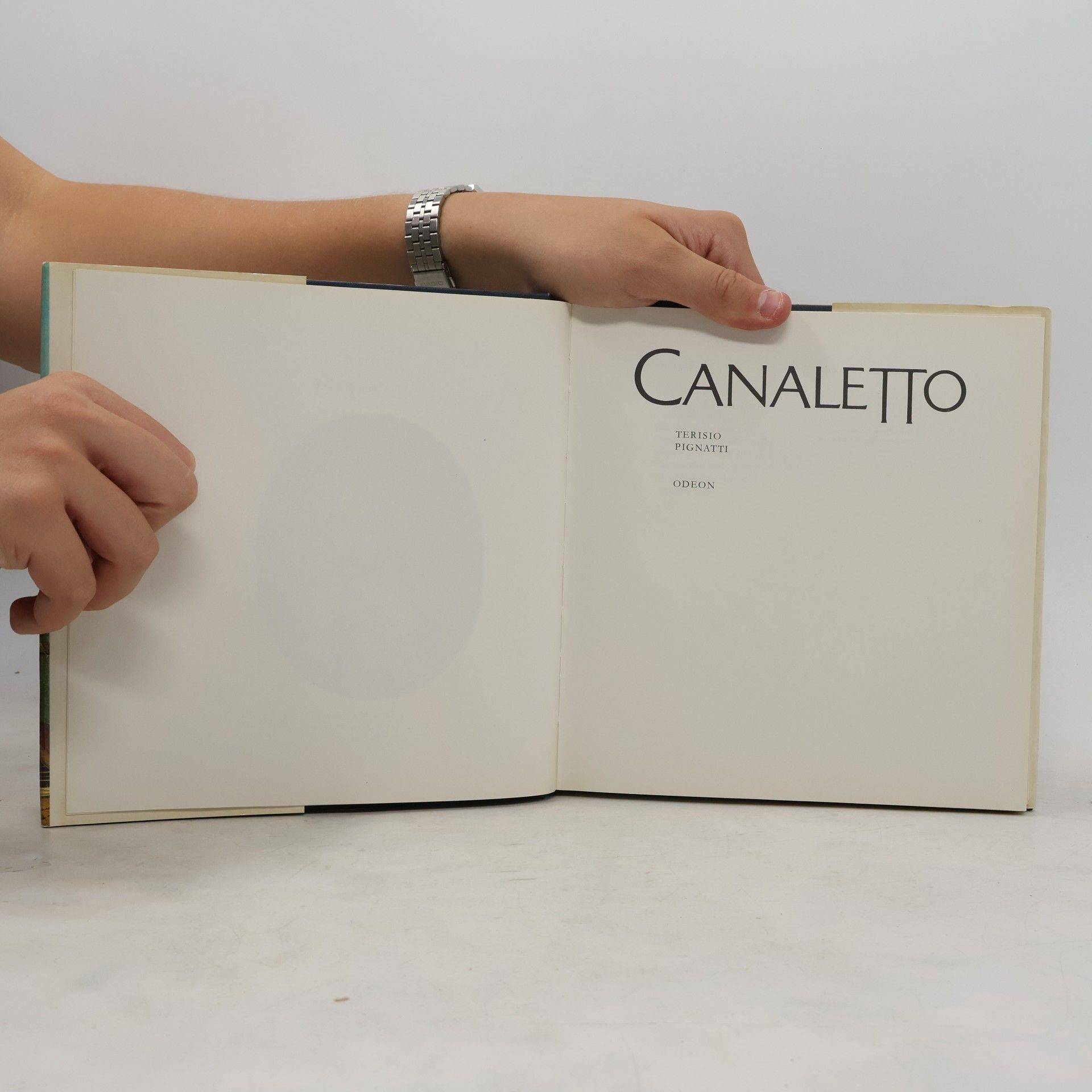 Terisio Pignatti Canaletto