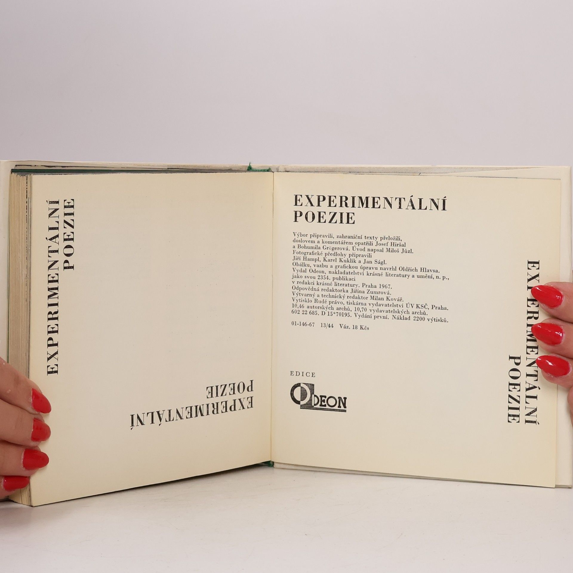 Bohumila Grögerová Experimentální poezie